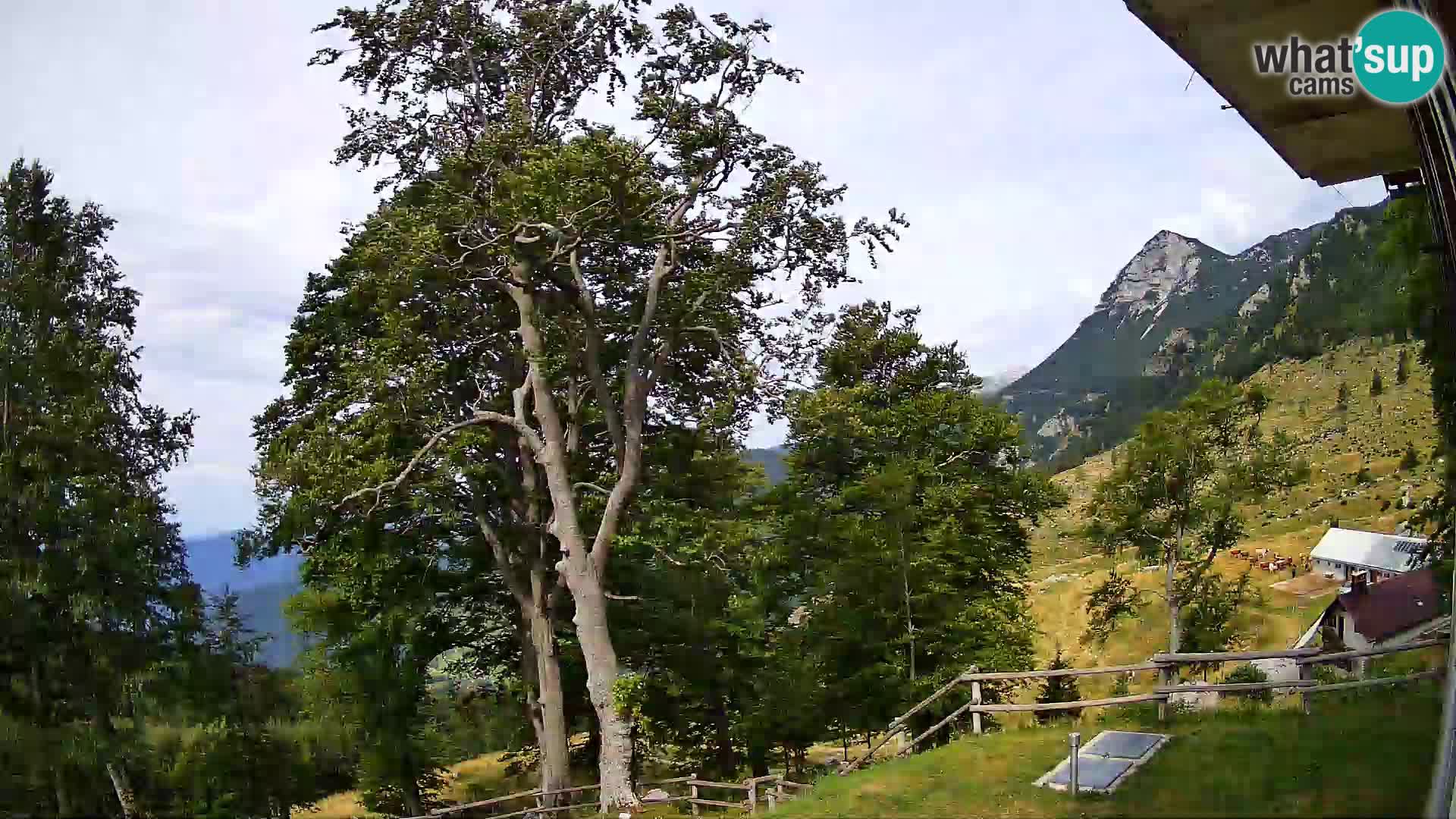 Baita di montagna Planina Razor webcam (1315) | vista su Tolminski Migovec