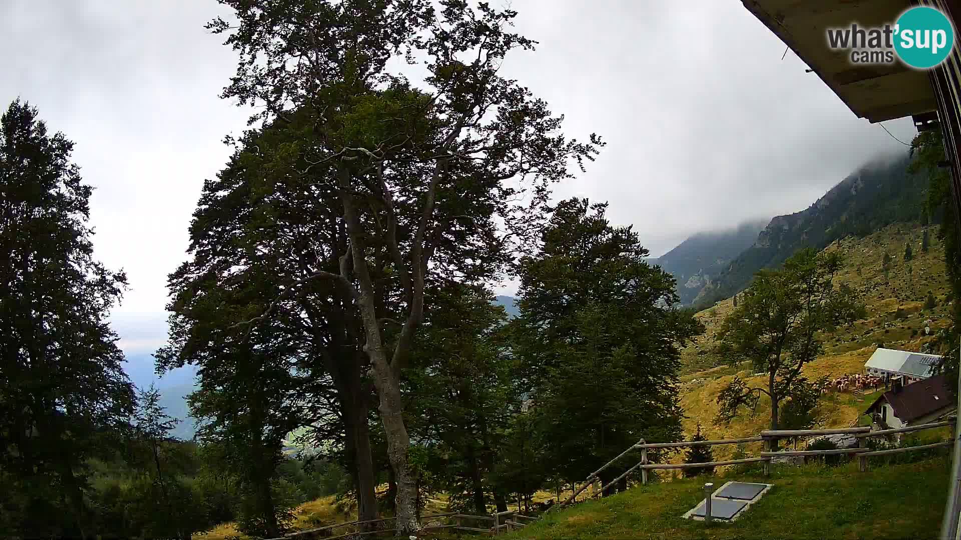 Cámara en vivo de la cabaña de montaña Planina Razor (1315) | vista hacia Tolminski Migovec