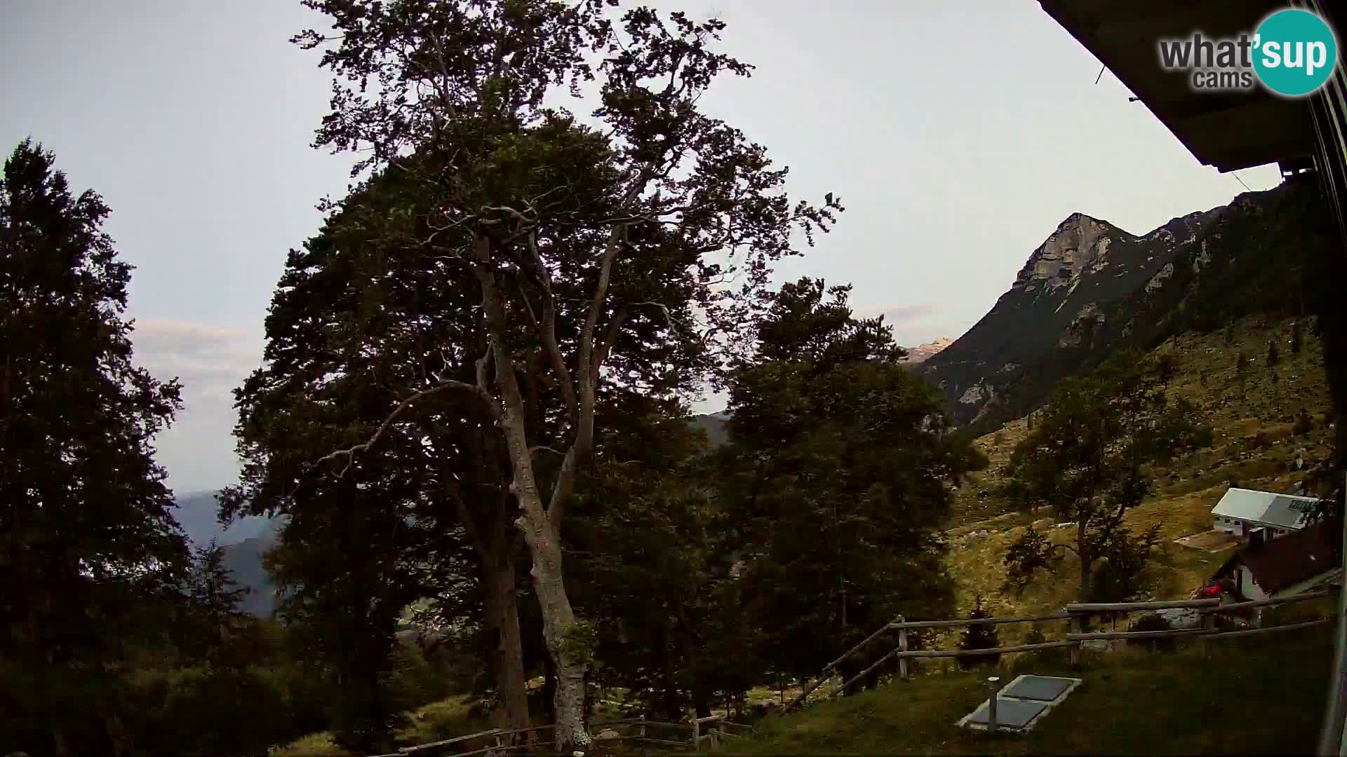 Planina Razor Bergütte Webcam (1315) | Blick auf Tolminski Migovec