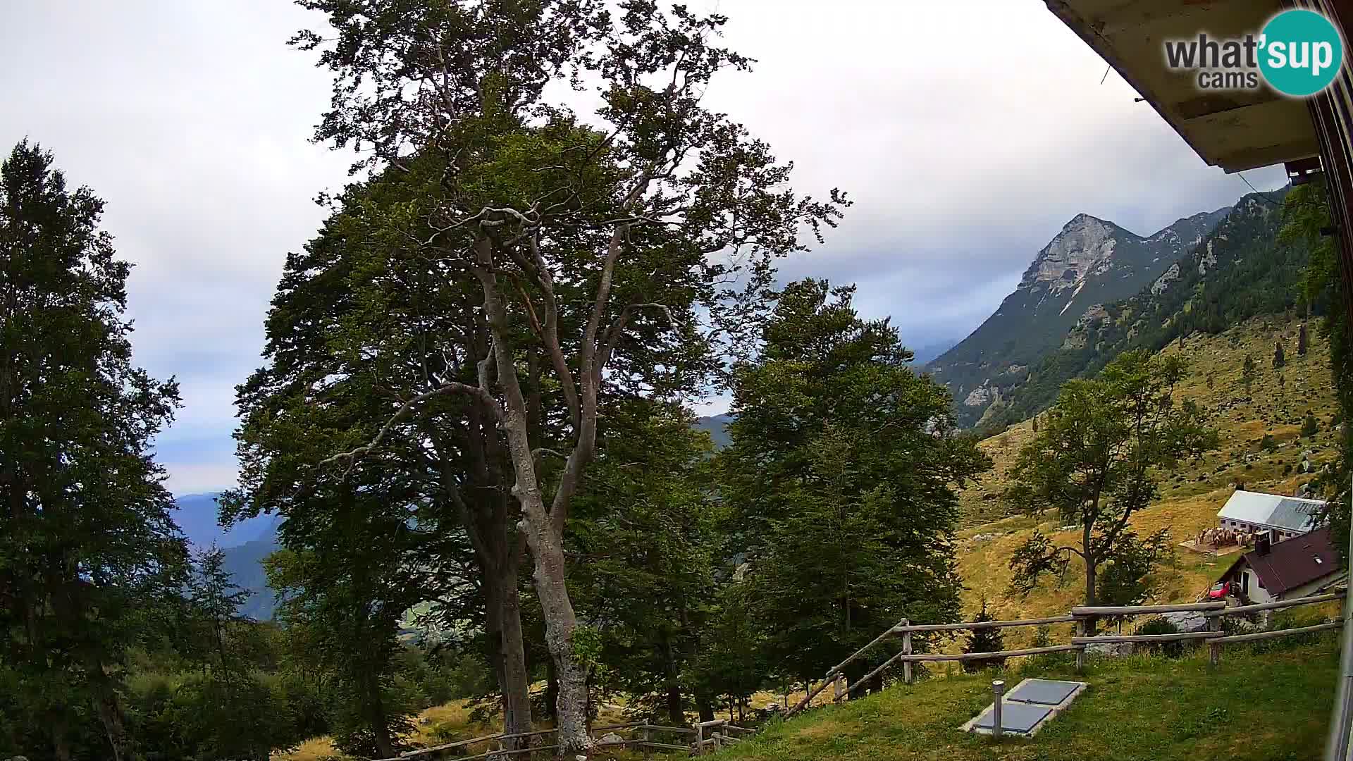 Refuge de la montagne Planina Razor caméra en direct (1315) | vue sur Tolminski Migovec