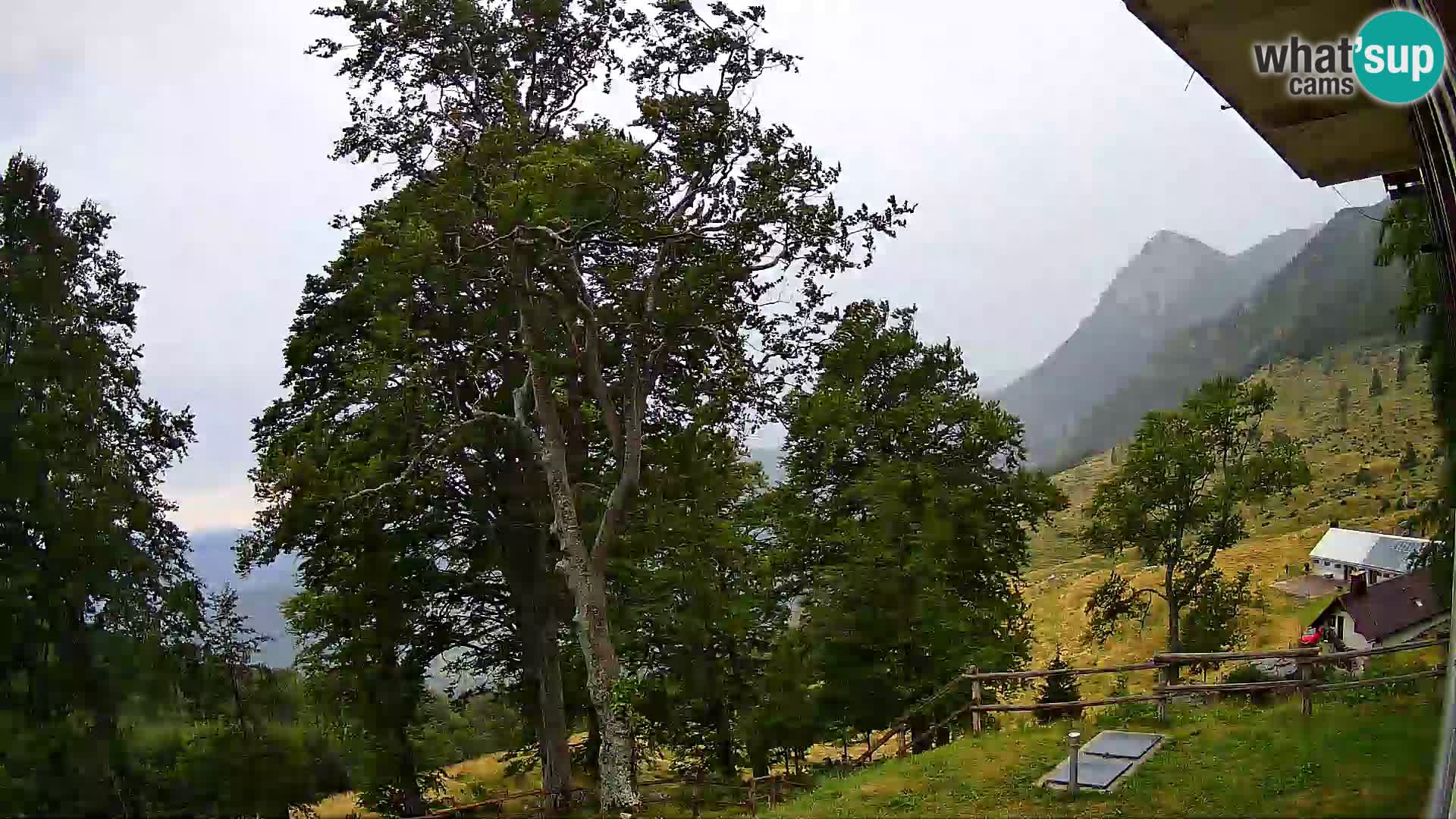 Planina Razor Bergütte Webcam (1315) | Blick auf Tolminski Migovec