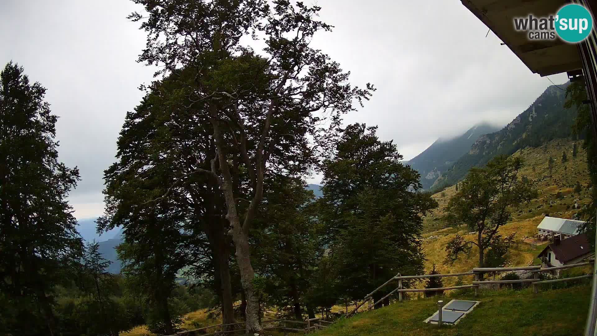 Planina Razor Bergütte Webcam (1315) | Blick auf Tolminski Migovec