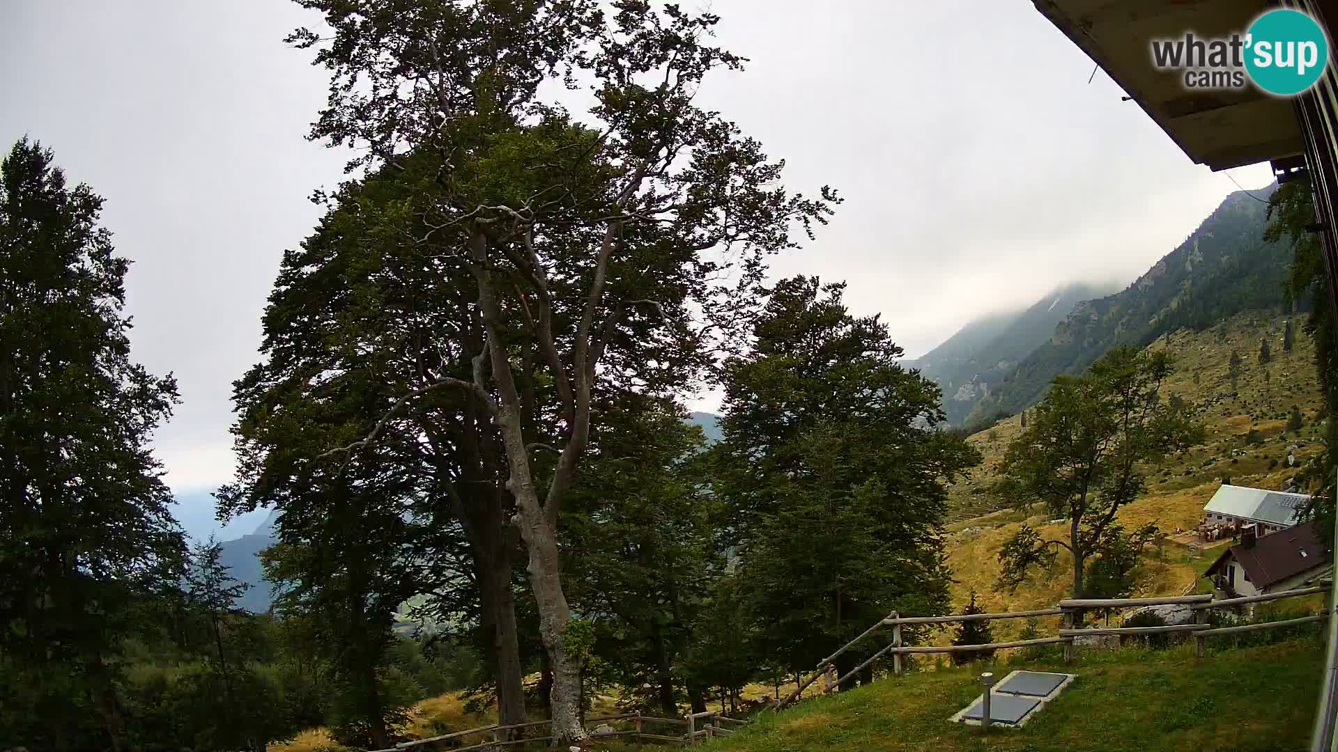 Planina Razor Bergütte Webcam (1315) | Blick auf Tolminski Migovec