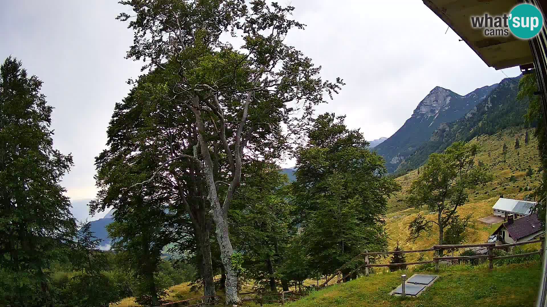 Planina Razor Mountain Hut live cam (1315) | view to Tolminski Migovec