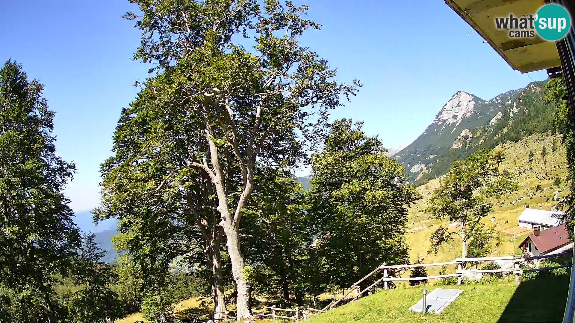 Baita di montagna Planina Razor webcam (1315) | vista su Tolminski Migovec