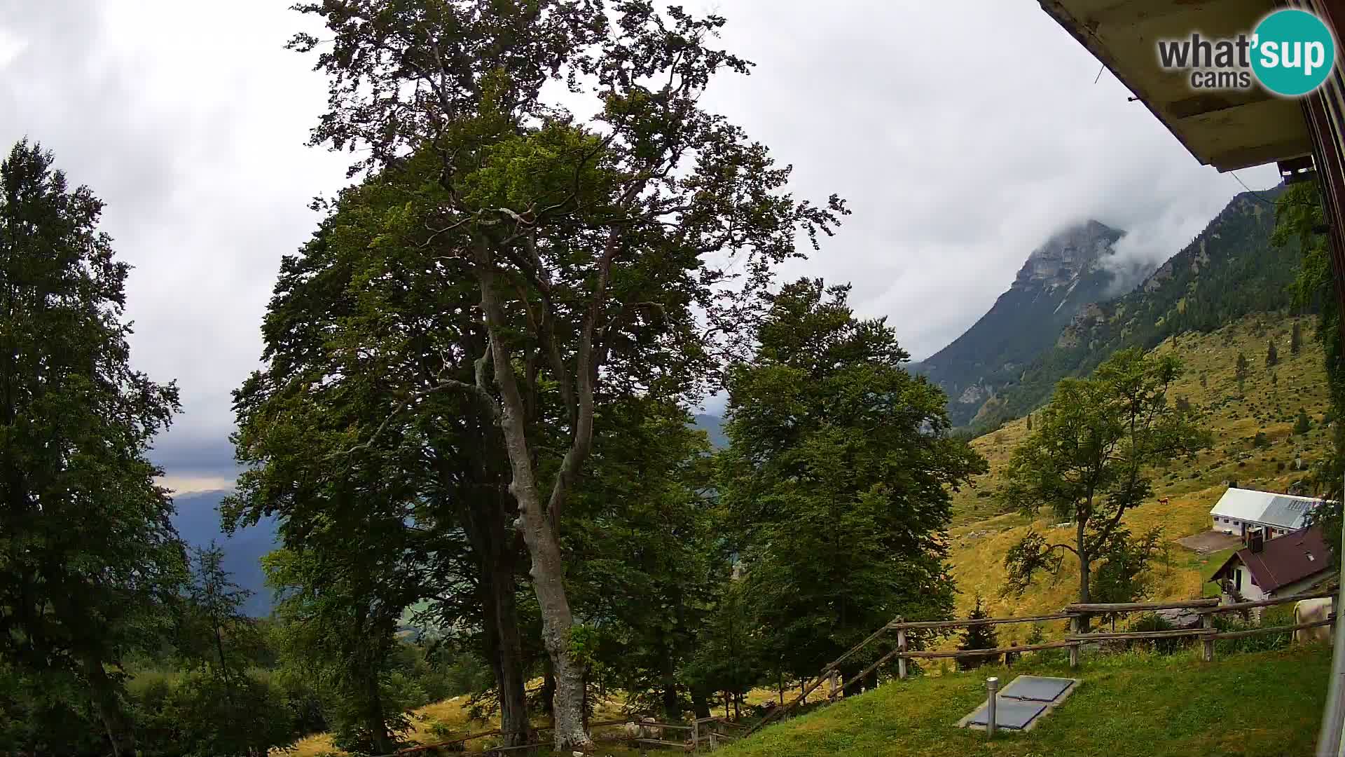 Cámara en vivo de la cabaña de montaña Planina Razor (1315) | vista hacia Tolminski Migovec
