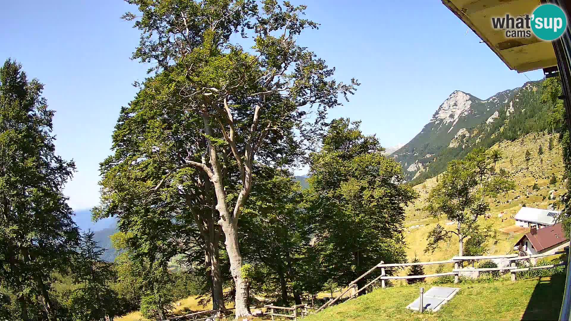 Planina Razor Mountain Hut live cam (1315) | view to Tolminski Migovec