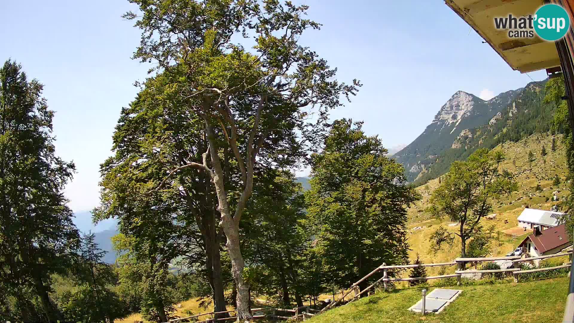 Baita di montagna Planina Razor webcam (1315) | vista su Tolminski Migovec