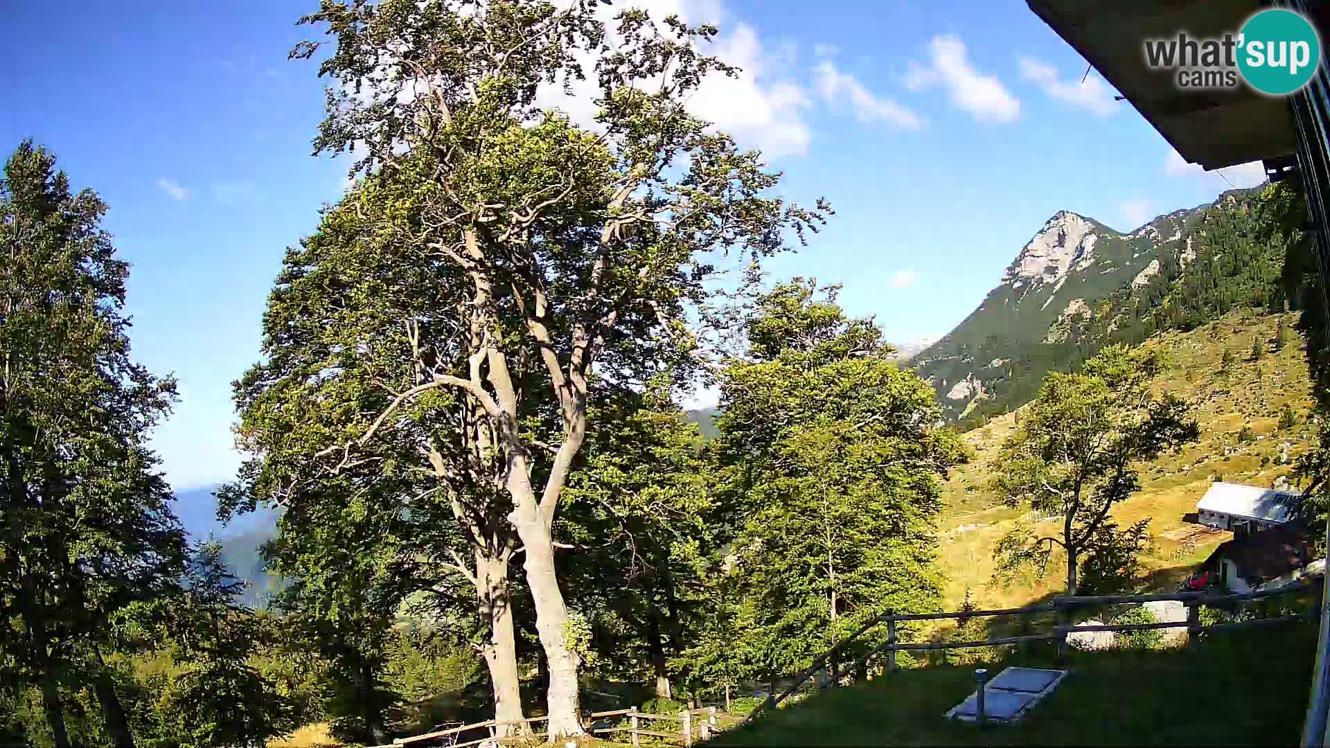 Planina Razor Mountain Hut live cam (1315) | view to Tolminski Migovec