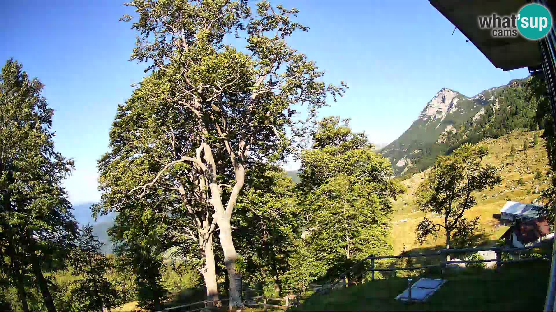 Planina Razor Mountain Hut live cam (1315) | view to Tolminski Migovec