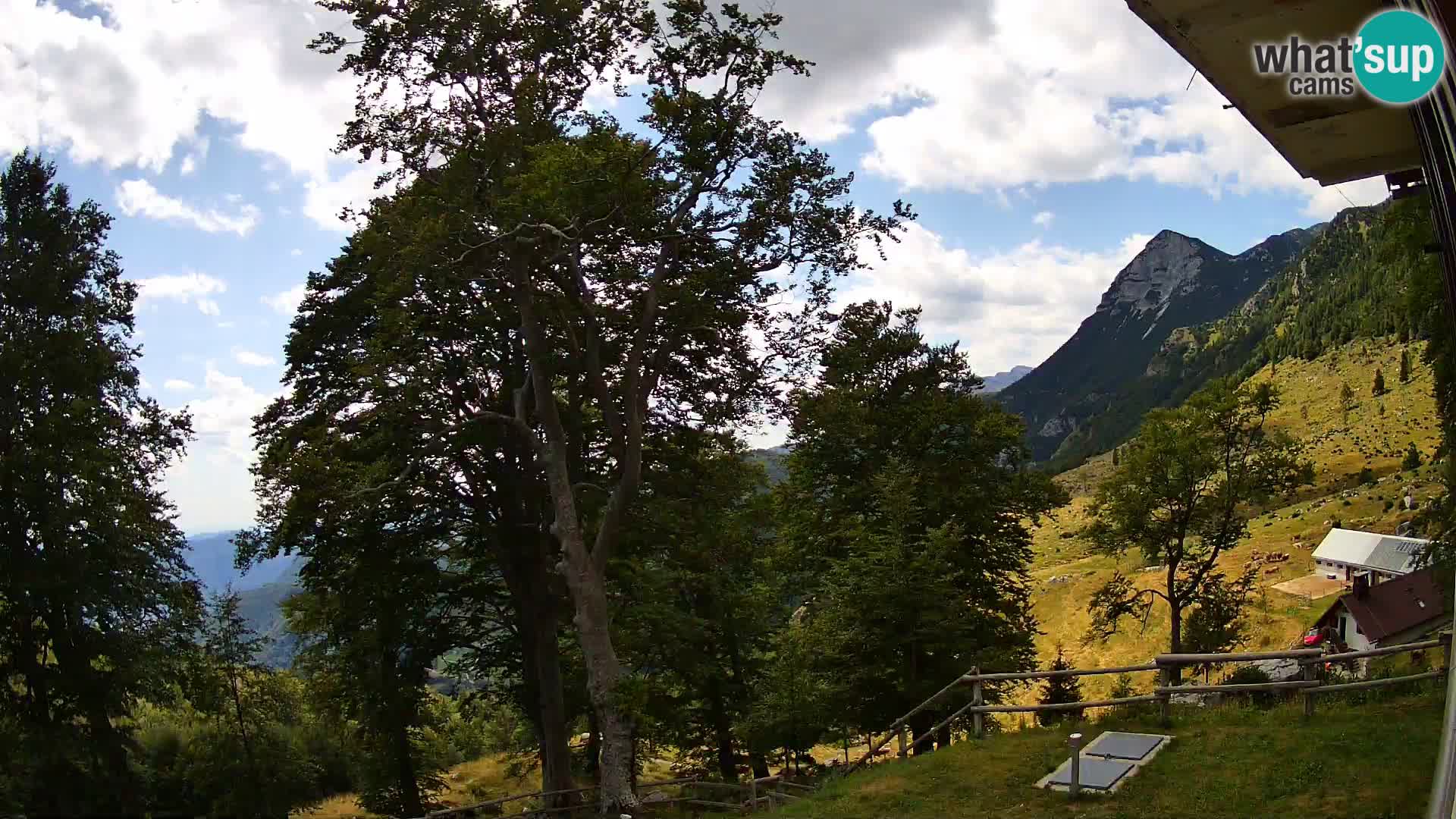 Baita di montagna Planina Razor webcam (1315) | vista su Tolminski Migovec