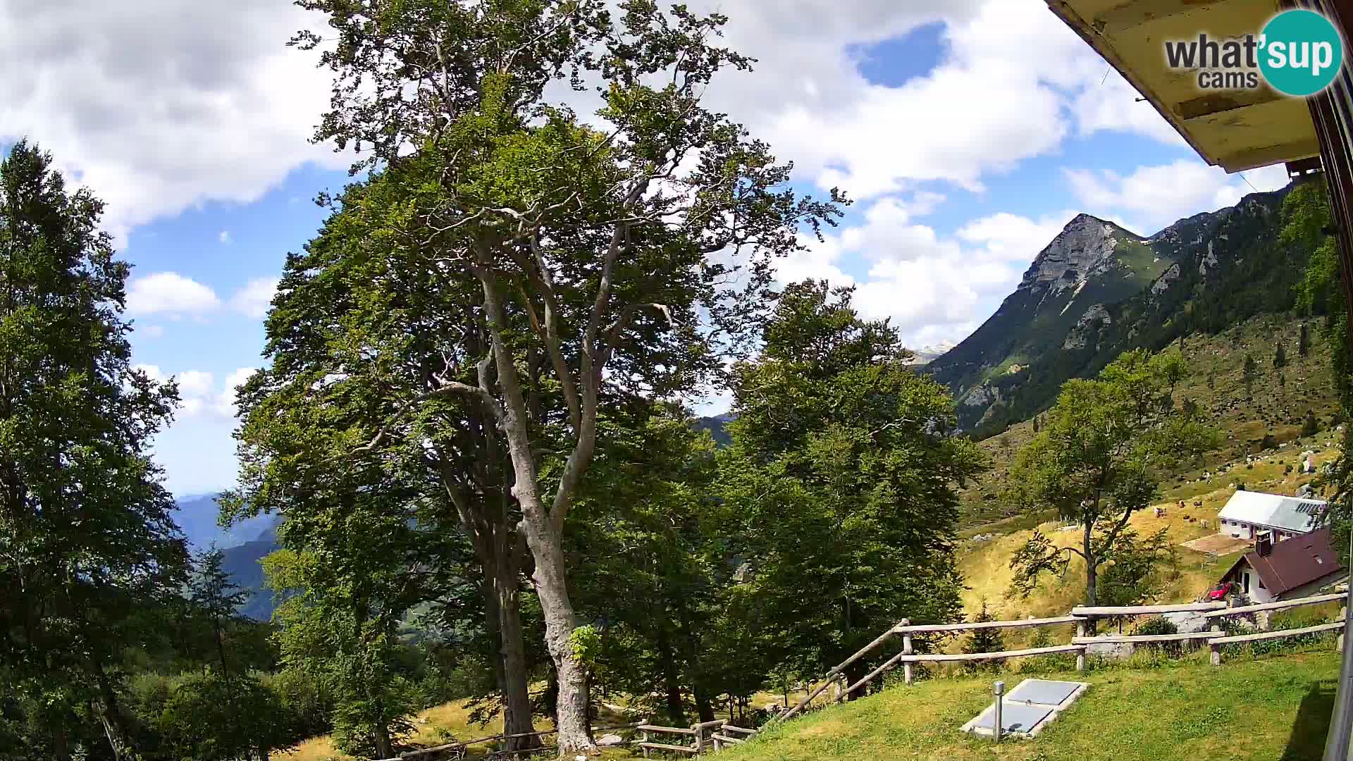 Planina Razor Mountain Hut live cam (1315) | view to Tolminski Migovec