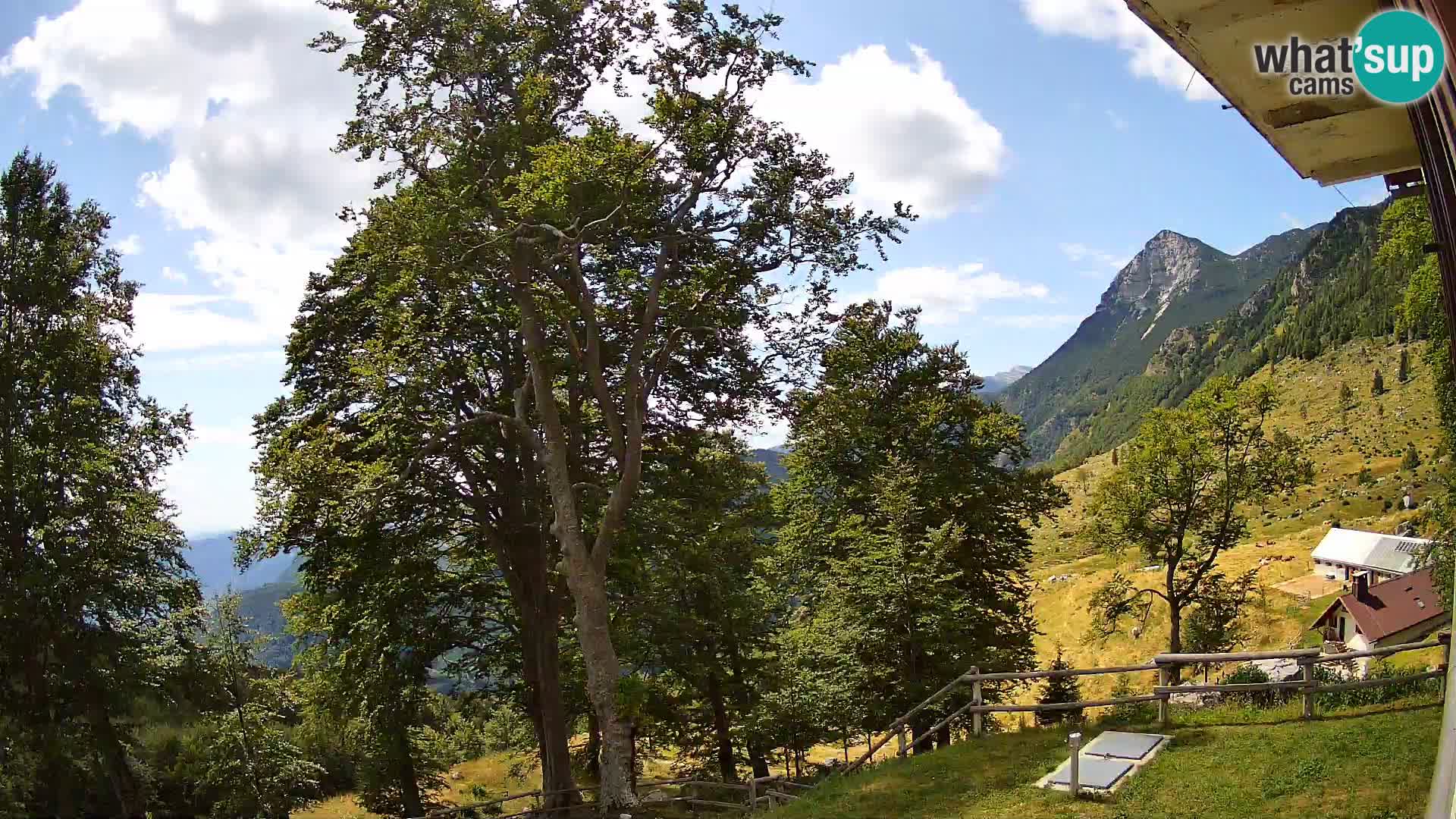 Planina Razor Bergütte Webcam (1315) | Blick auf Tolminski Migovec