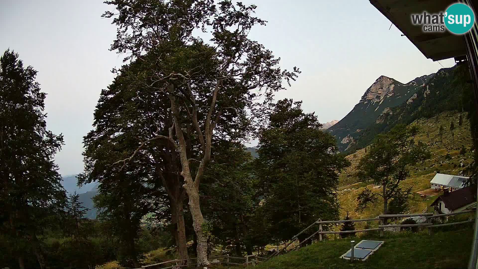 Planina Razor Bergütte Webcam (1315) | Blick auf Tolminski Migovec