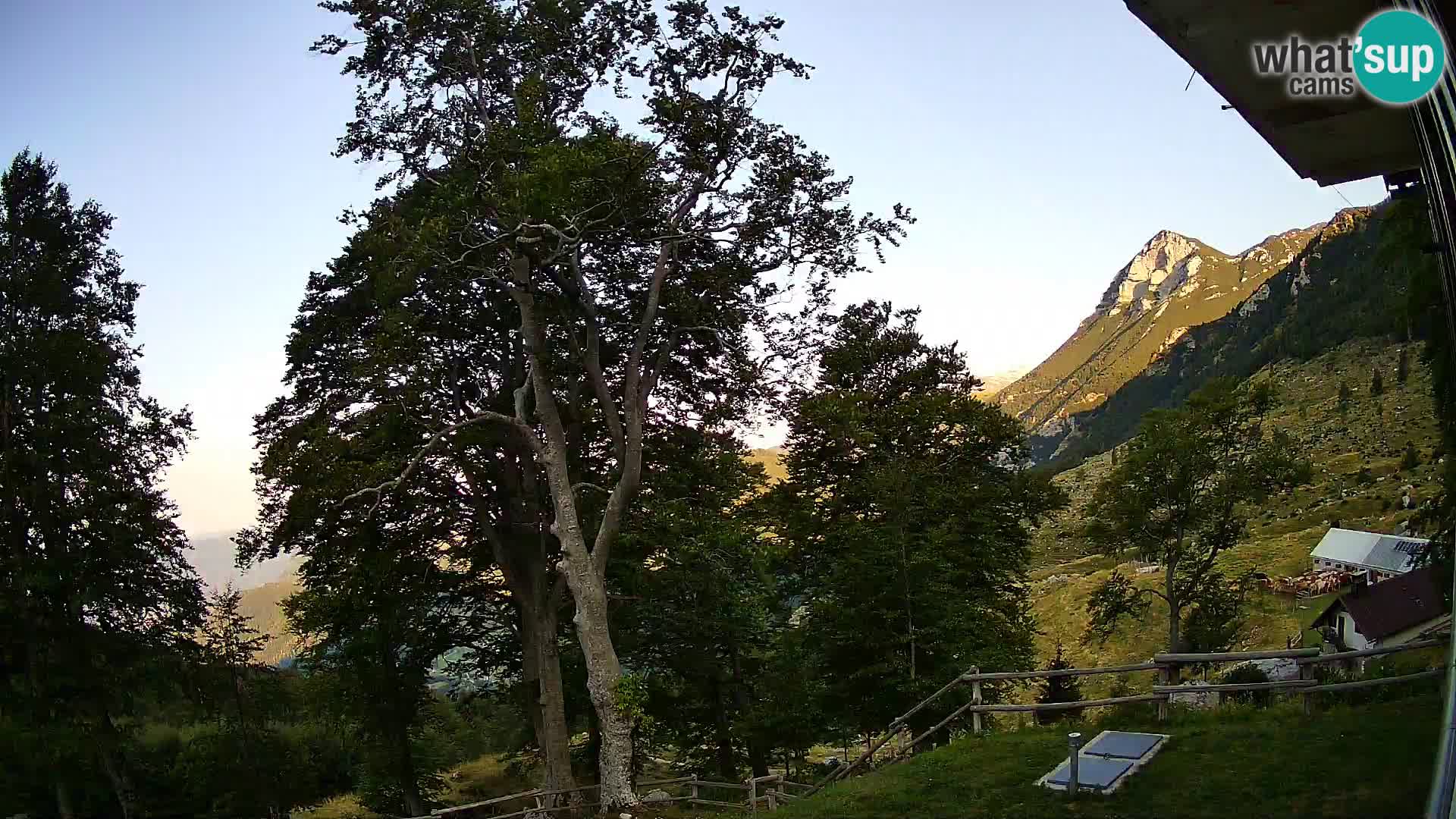 Planina Razor Bergütte Webcam (1315) | Blick auf Tolminski Migovec