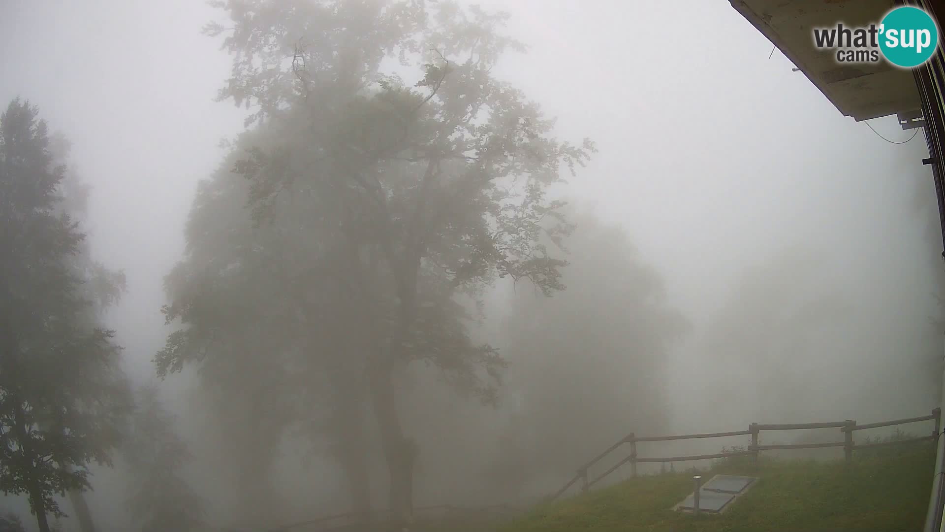 Planina Razor Bergütte Webcam (1315) | Blick auf Tolminski Migovec