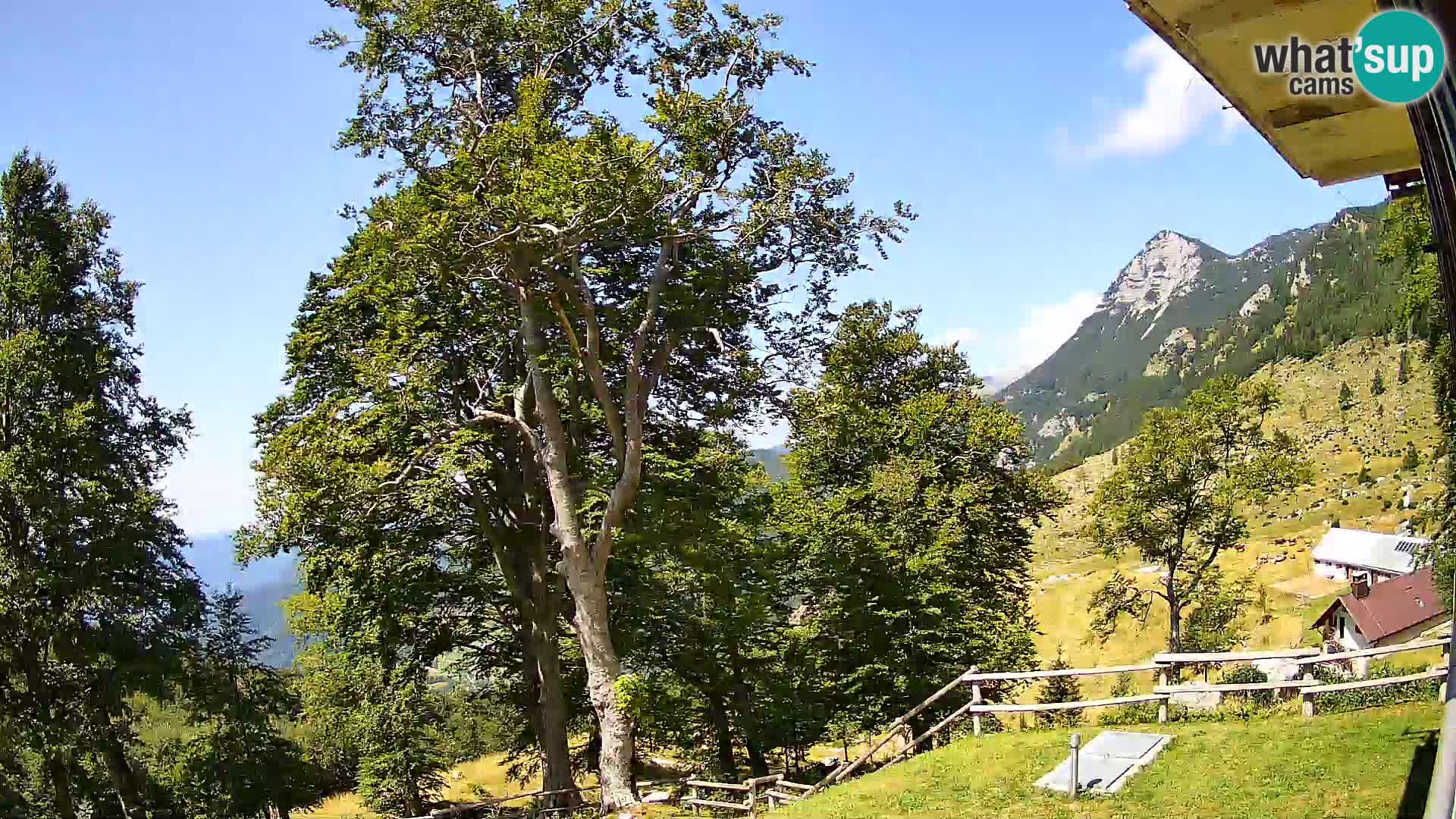 Cámara en vivo de la cabaña de montaña Planina Razor (1315) | vista hacia Tolminski Migovec