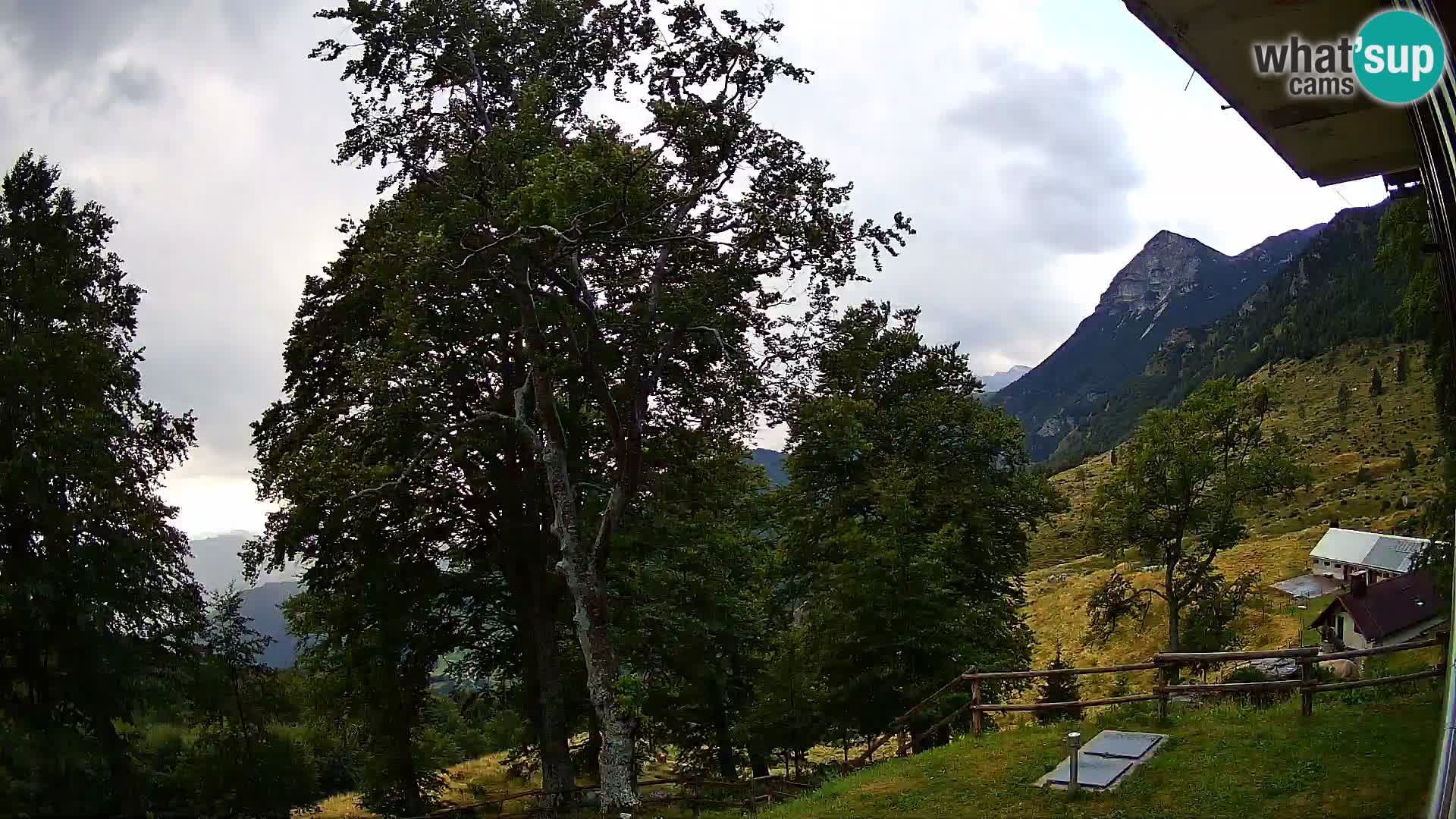 Planina Razor Bergütte Webcam (1315) | Blick auf Tolminski Migovec