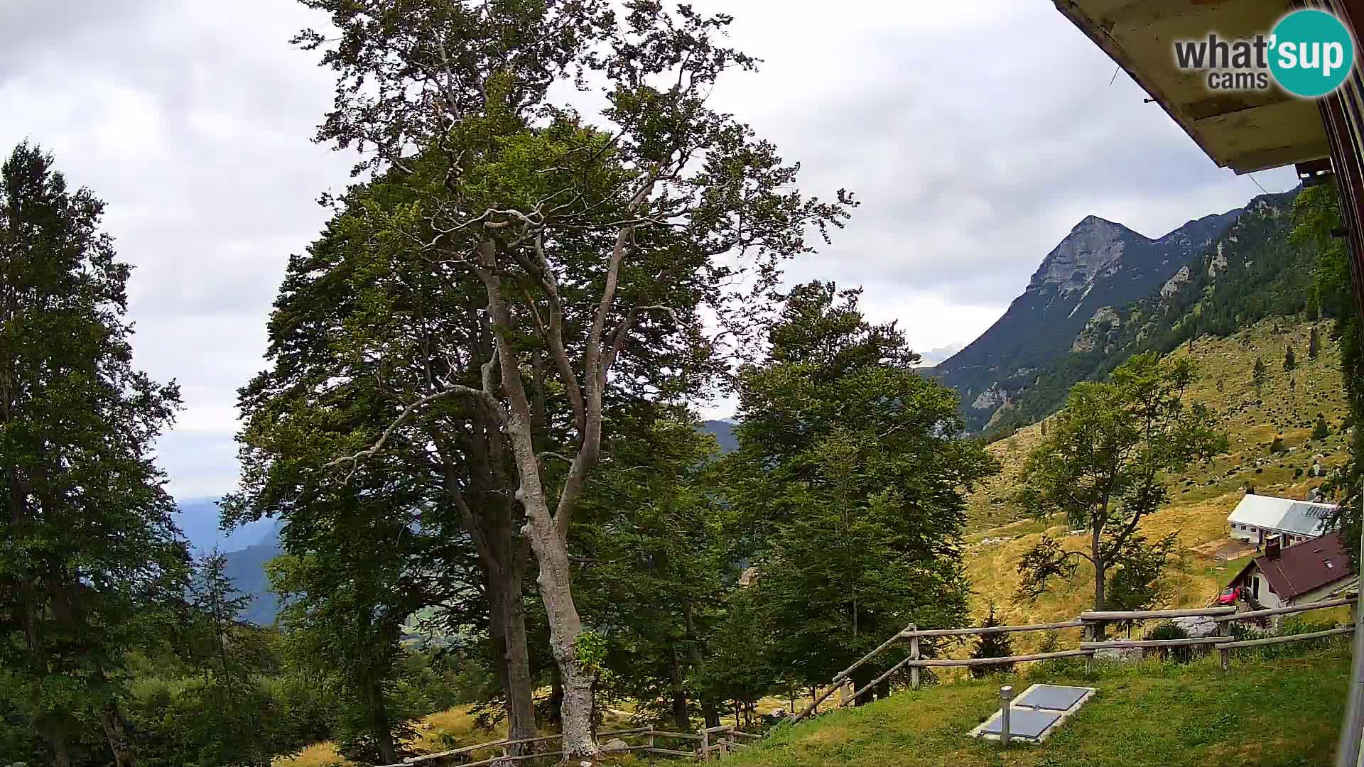 Planina Razor Bergütte Webcam (1315) | Blick auf Tolminski Migovec