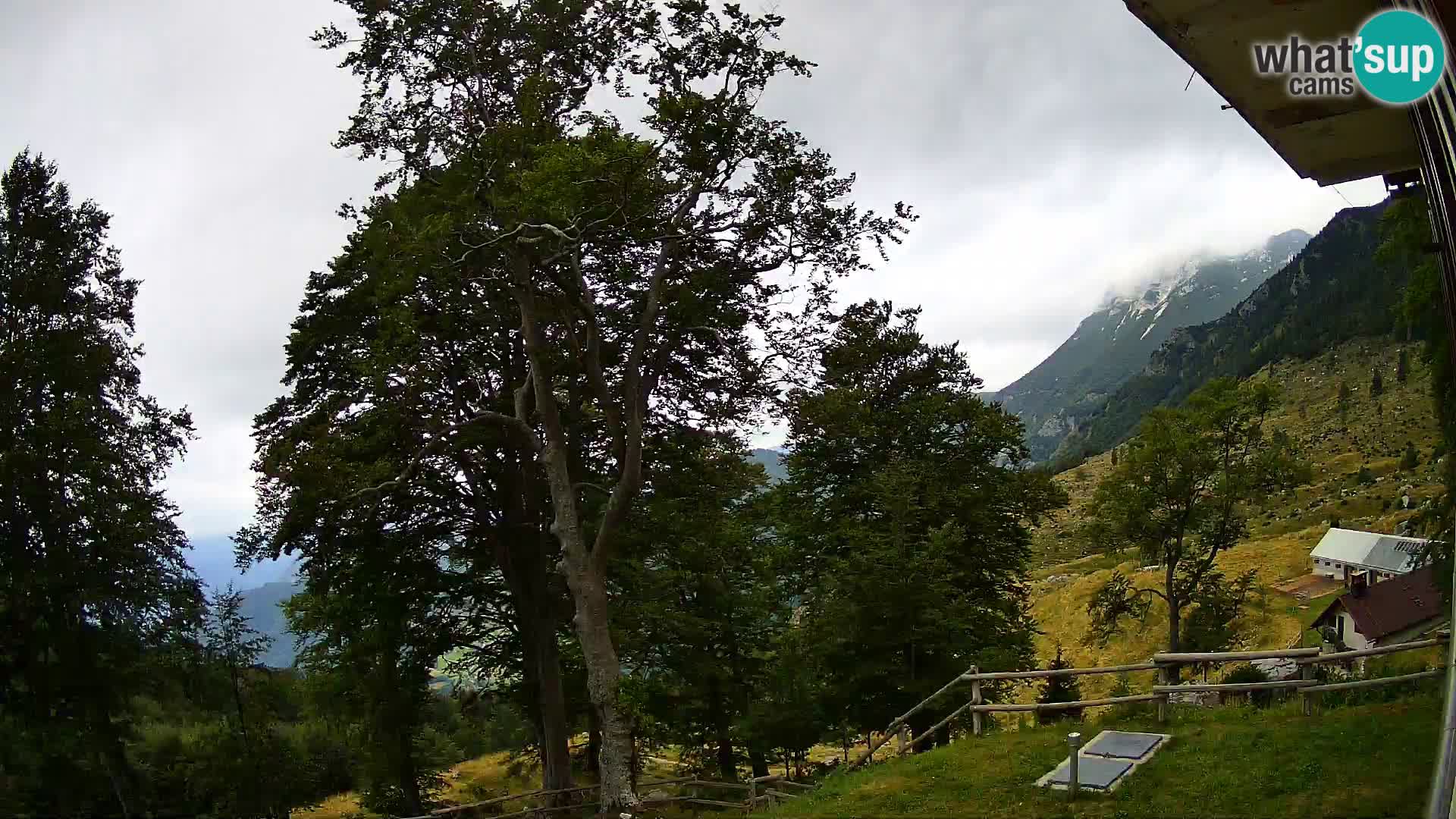 Baita di montagna Planina Razor webcam (1315) | vista su Tolminski Migovec