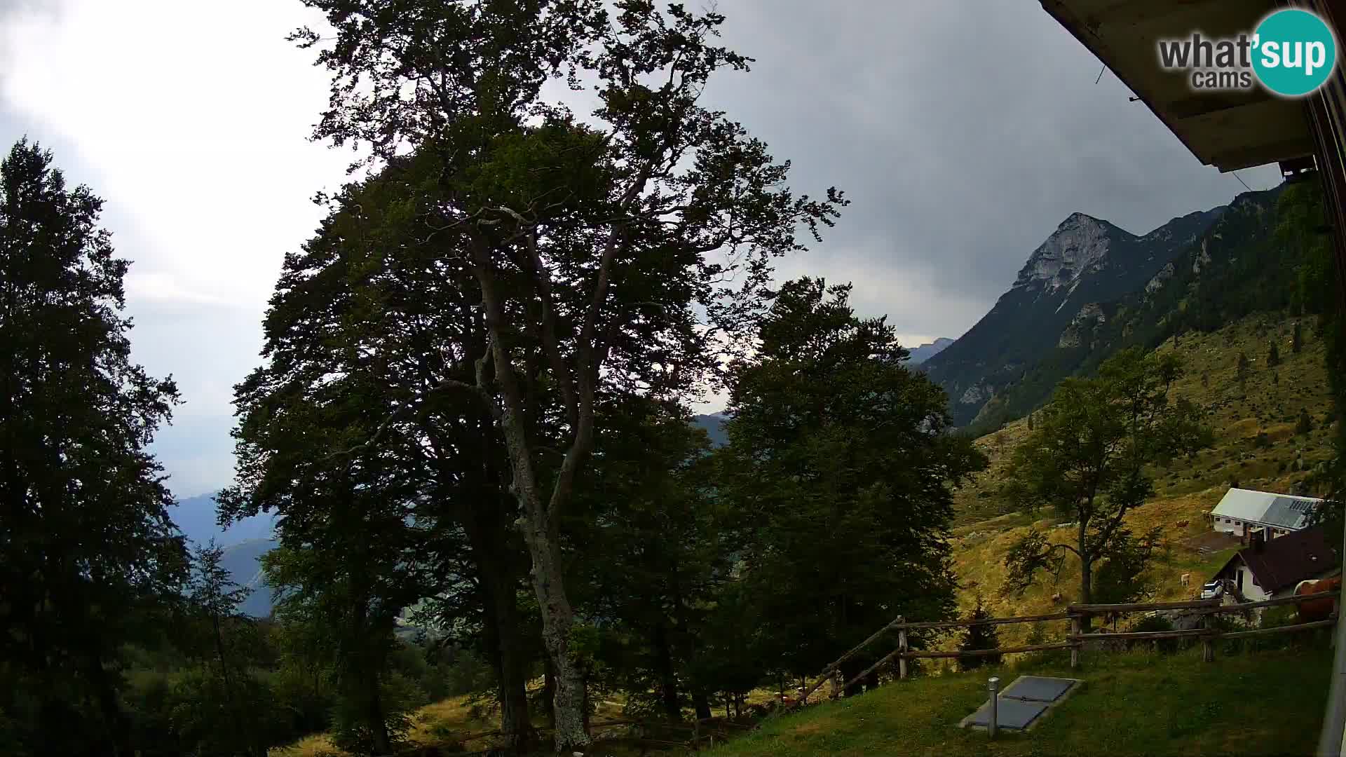 Planina Razor Bergütte Webcam (1315) | Blick auf Tolminski Migovec