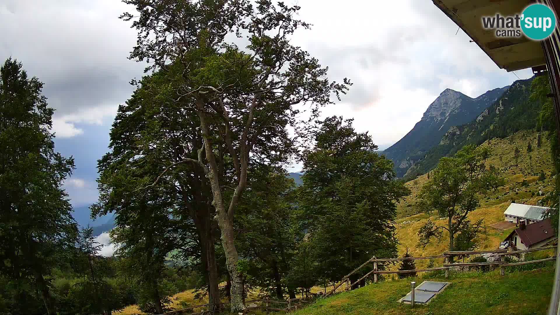 Planina Razor Bergütte Webcam (1315) | Blick auf Tolminski Migovec