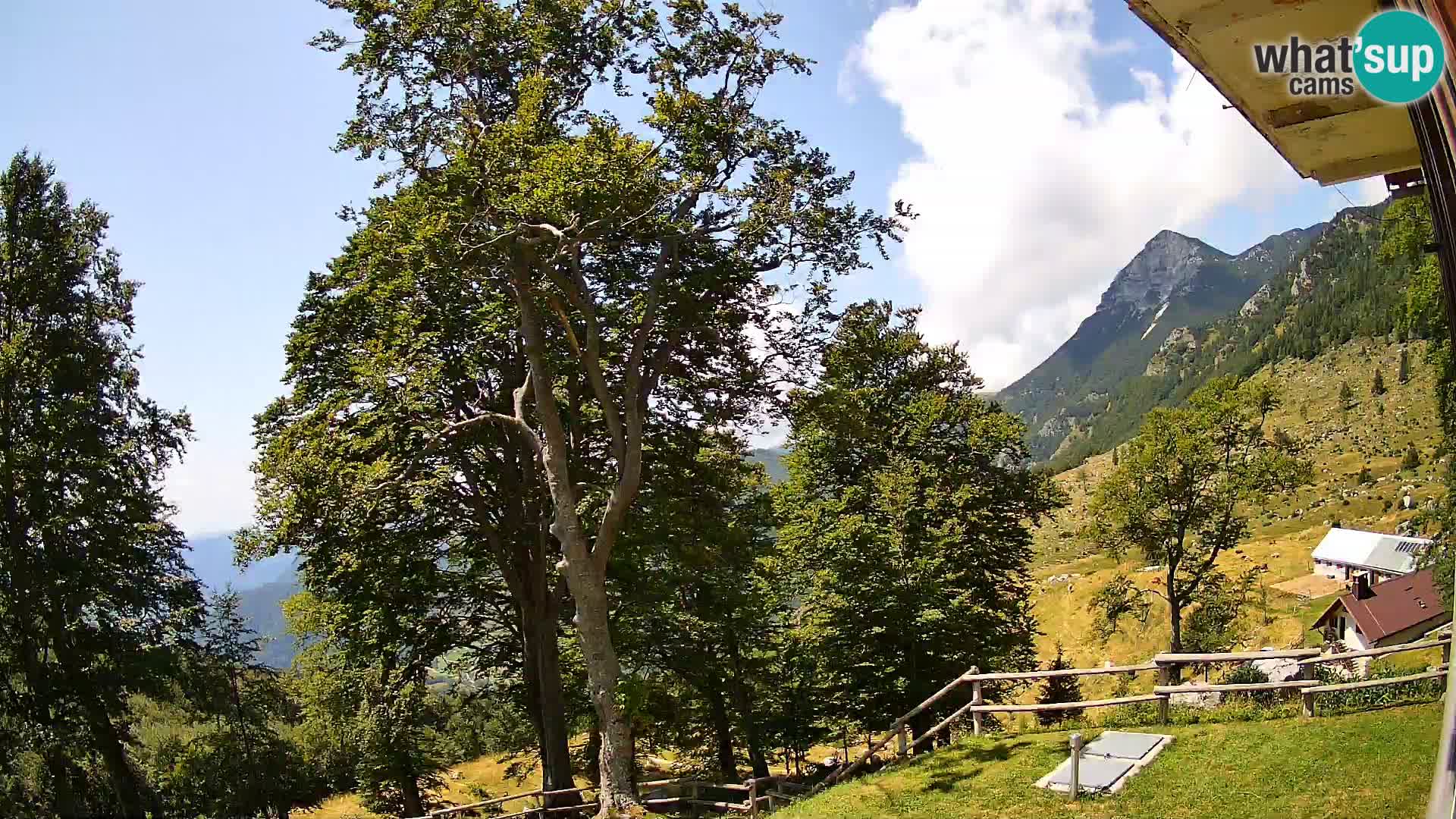 Planina Razor Mountain Hut live cam (1315) | view to Tolminski Migovec