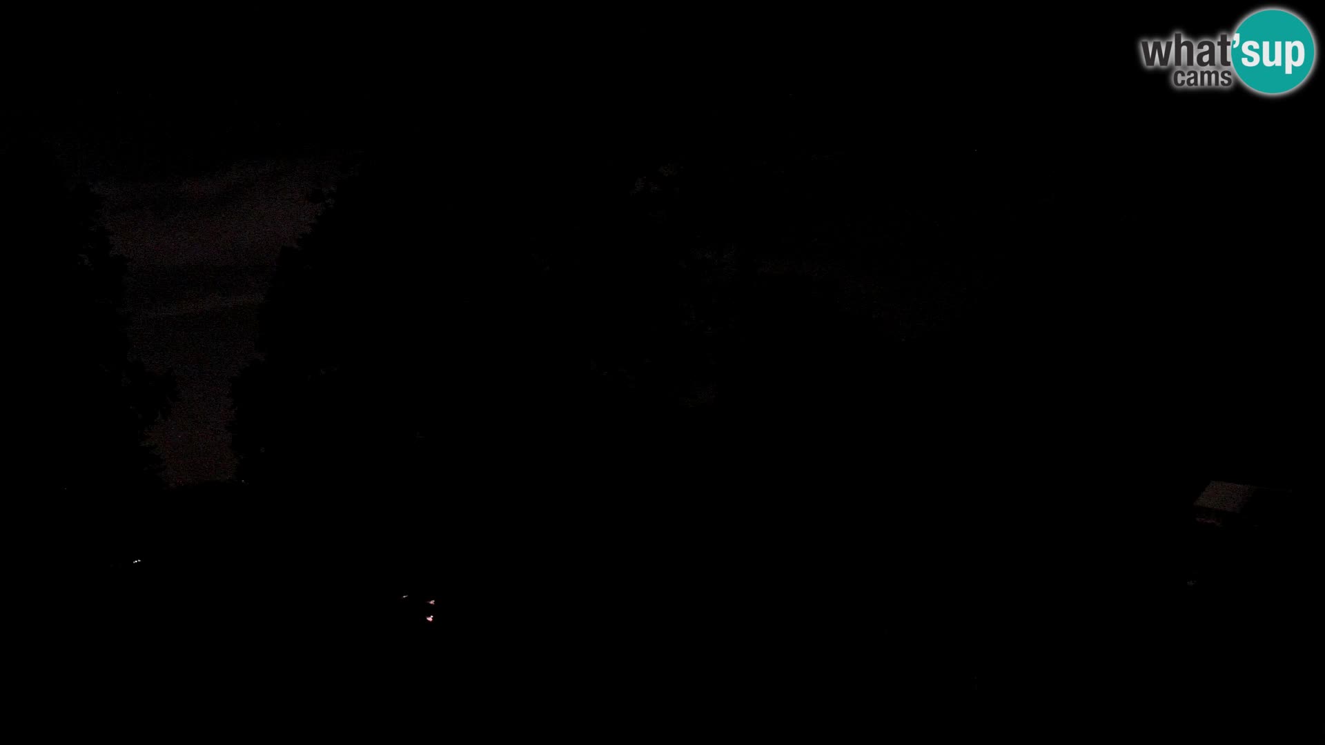 Planina Razor Bergütte Webcam (1315) | Blick auf Tolminski Migovec