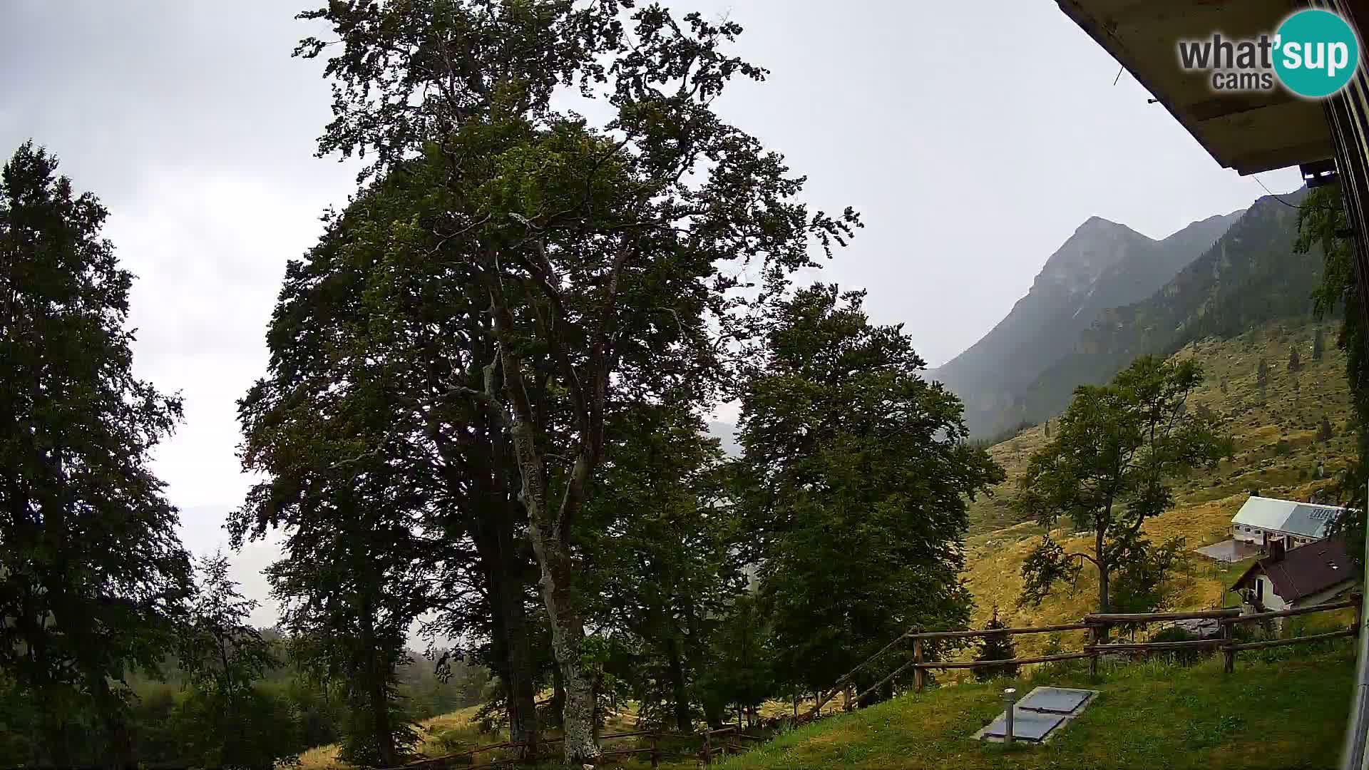 Baita di montagna Planina Razor webcam (1315) | vista su Tolminski Migovec