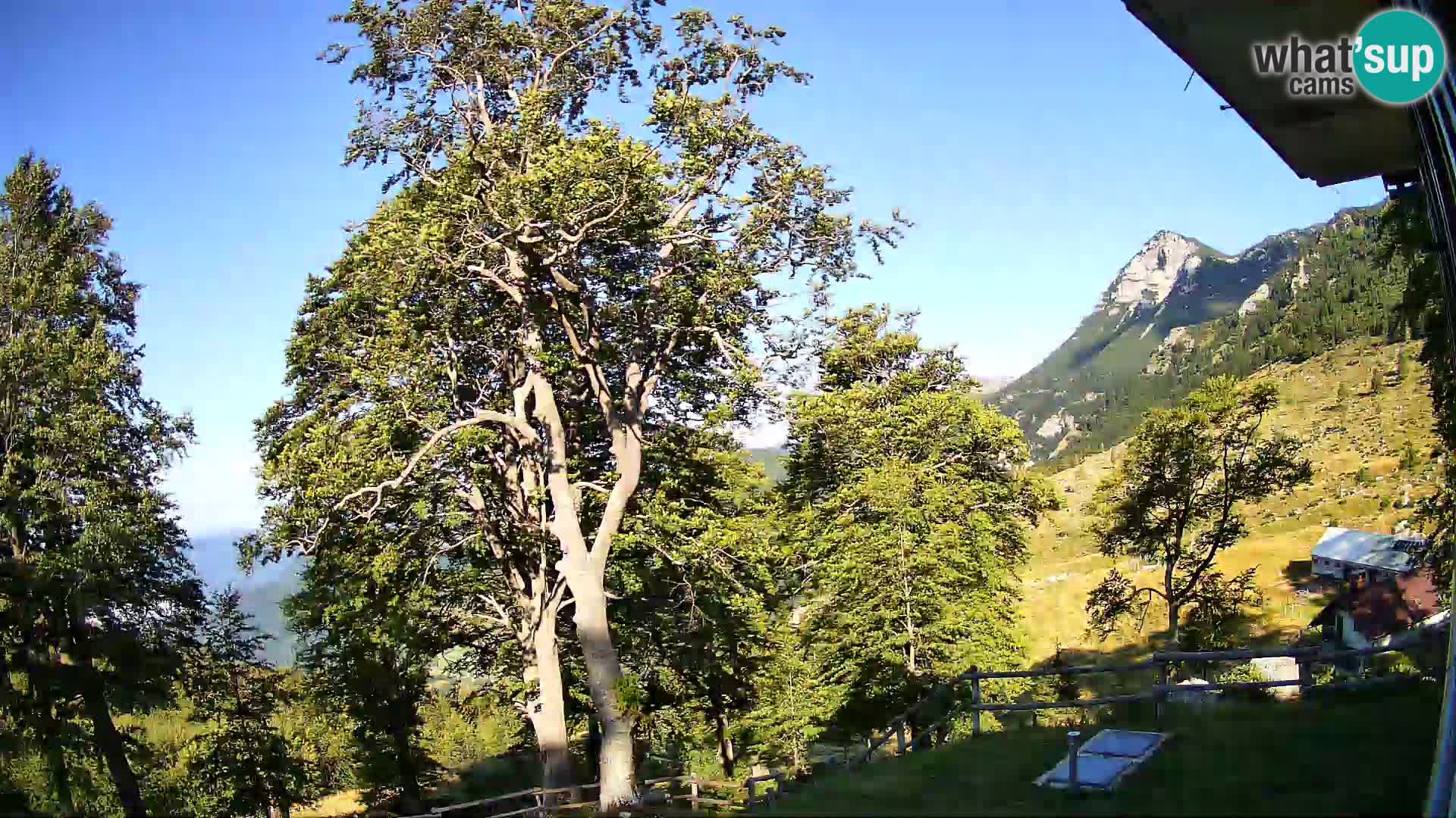 Baita di montagna Planina Razor webcam (1315) | vista su Tolminski Migovec