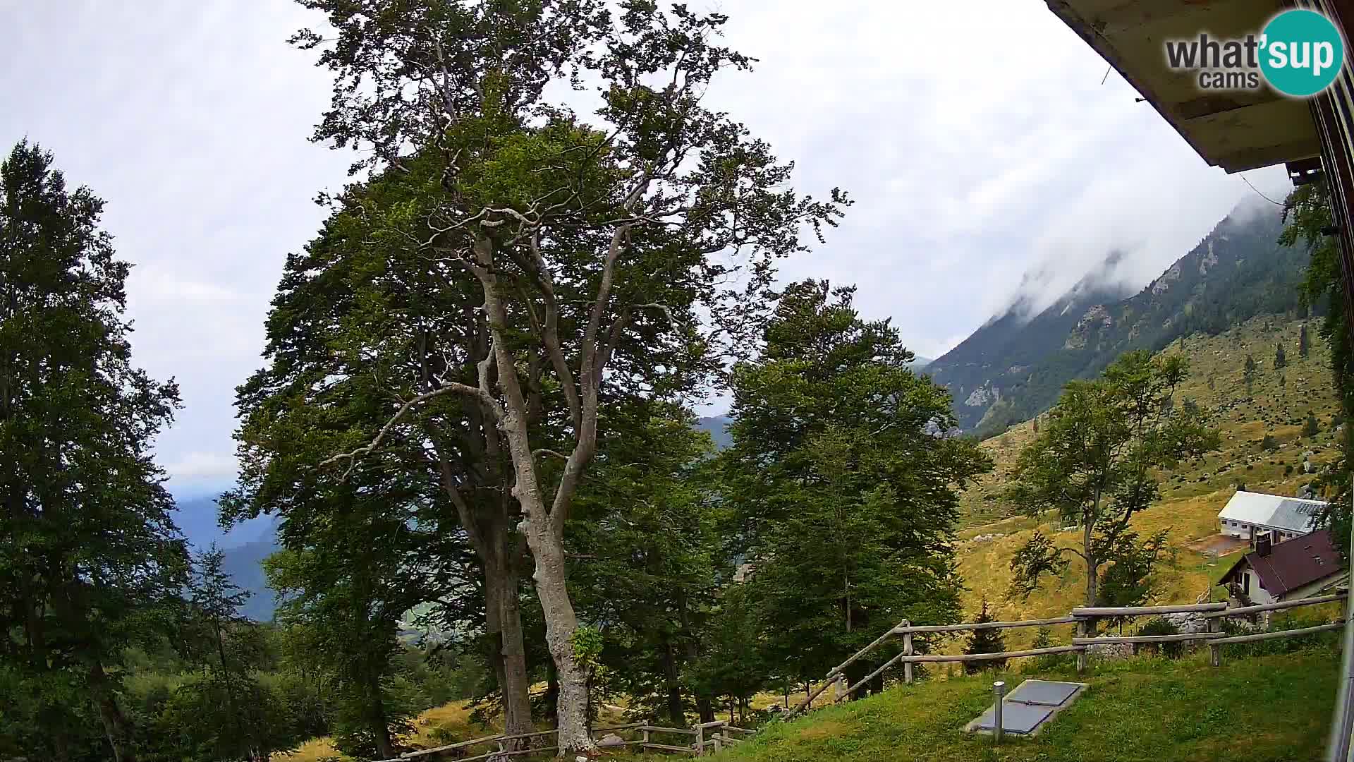 Cámara en vivo de la cabaña de montaña Planina Razor (1315) | vista hacia Tolminski Migovec