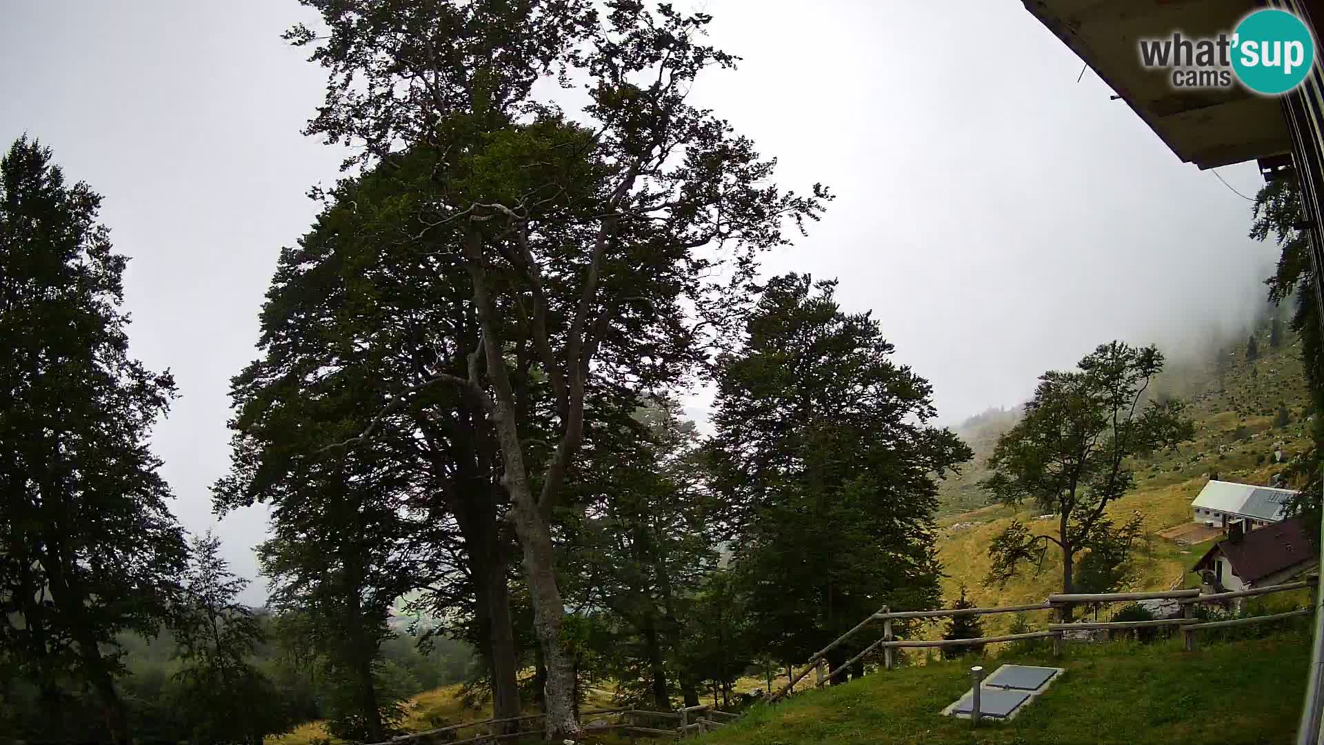 Planina Razor Bergütte Webcam (1315) | Blick auf Tolminski Migovec