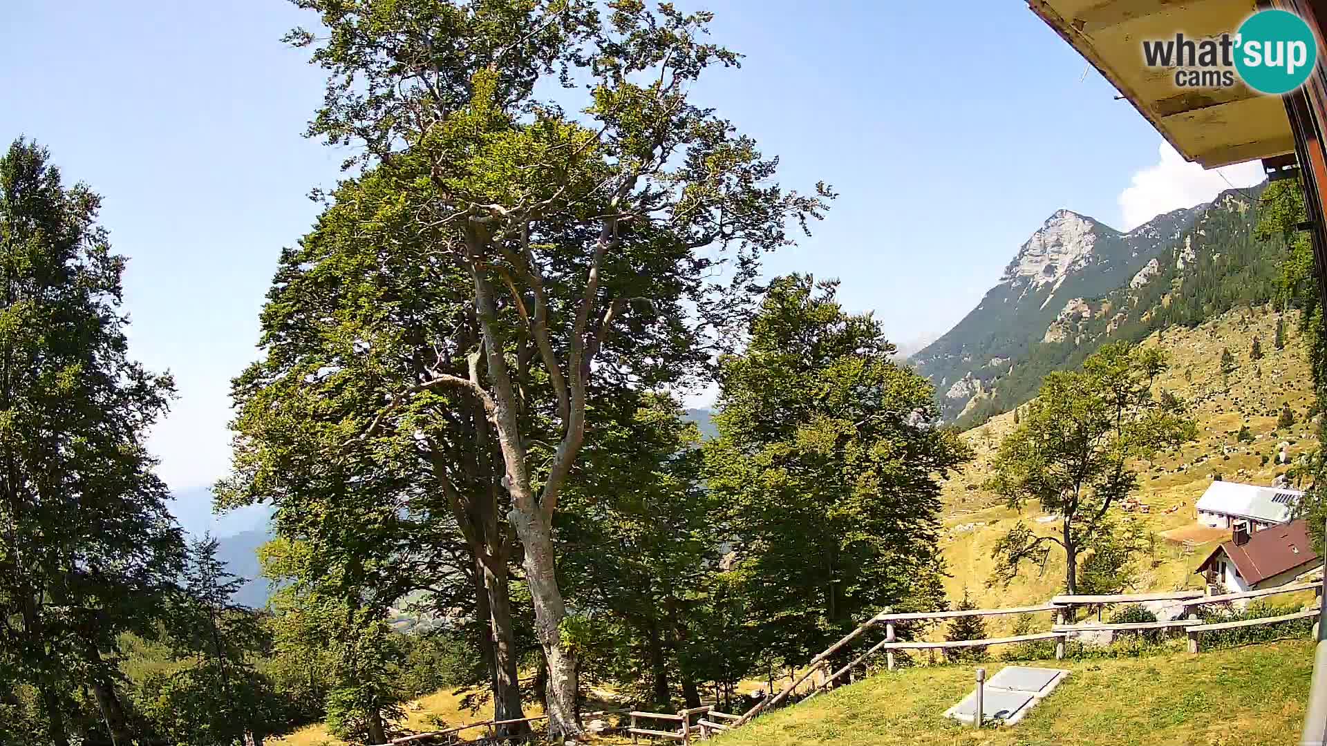 Planina Razor Bergütte Webcam (1315) | Blick auf Tolminski Migovec