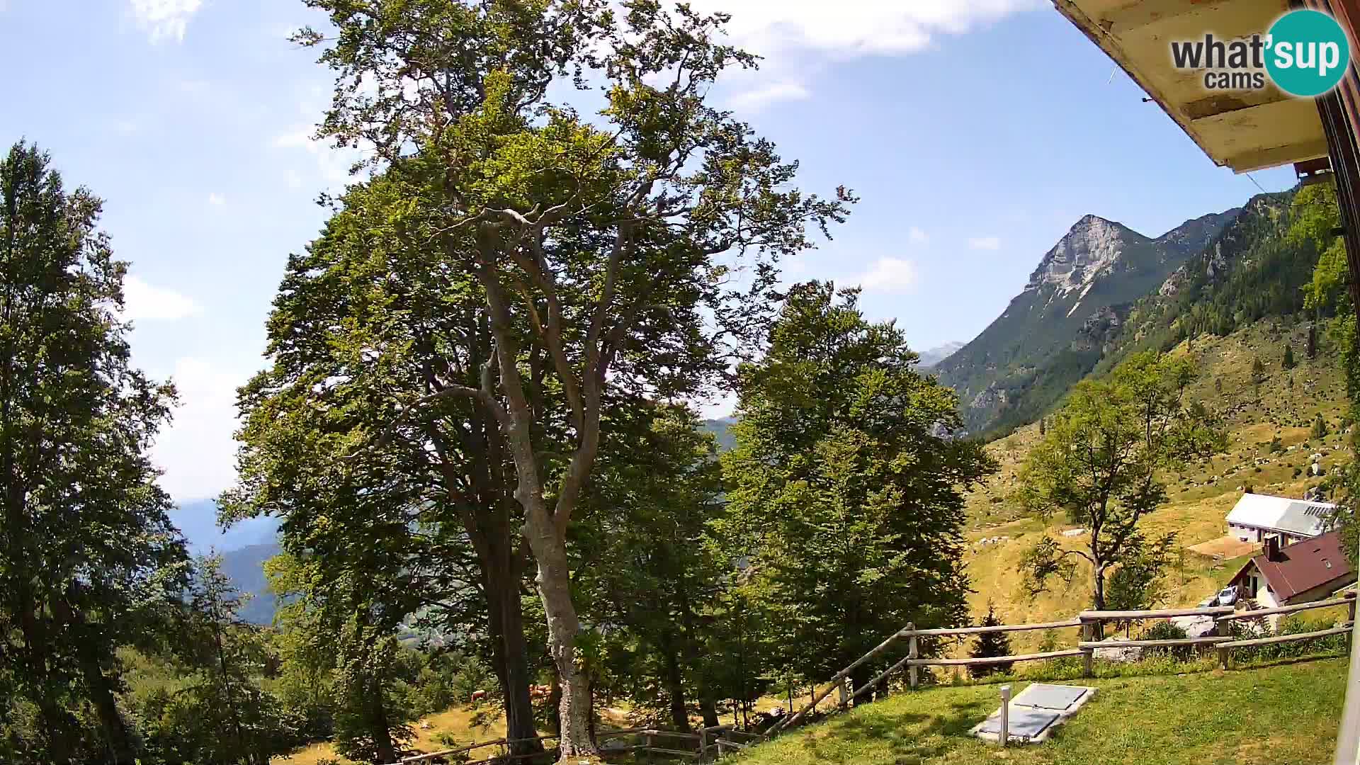 Planina Razor Bergütte Webcam (1315) | Blick auf Tolminski Migovec
