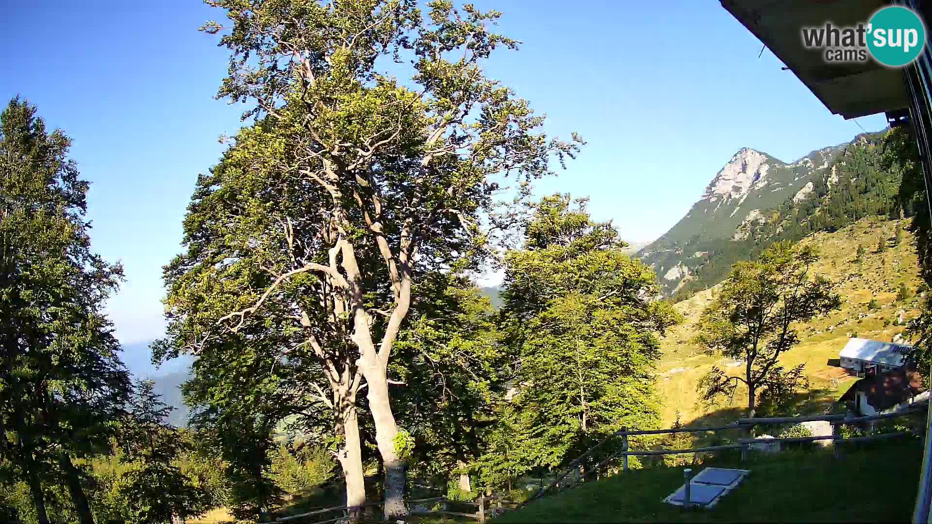 Planina Razor Mountain Hut live cam (1315) | view to Tolminski Migovec