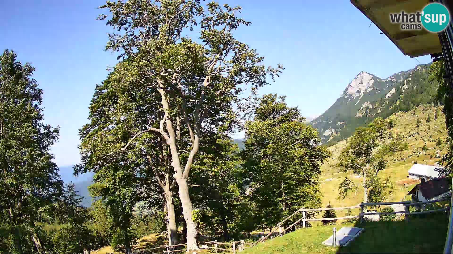 Baita di montagna Planina Razor webcam (1315) | vista su Tolminski Migovec
