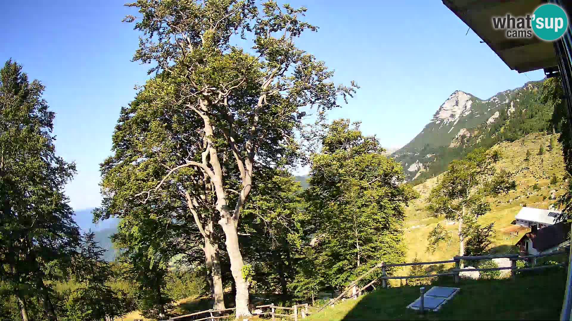 Cámara en vivo de la cabaña de montaña Planina Razor (1315) | vista hacia Tolminski Migovec
