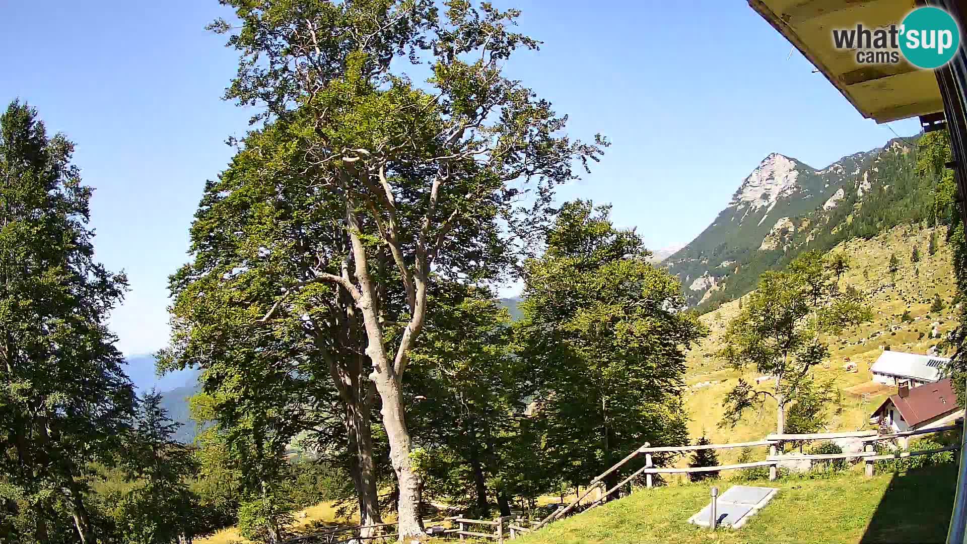 Refuge de la montagne Planina Razor caméra en direct (1315) | vue sur Tolminski Migovec