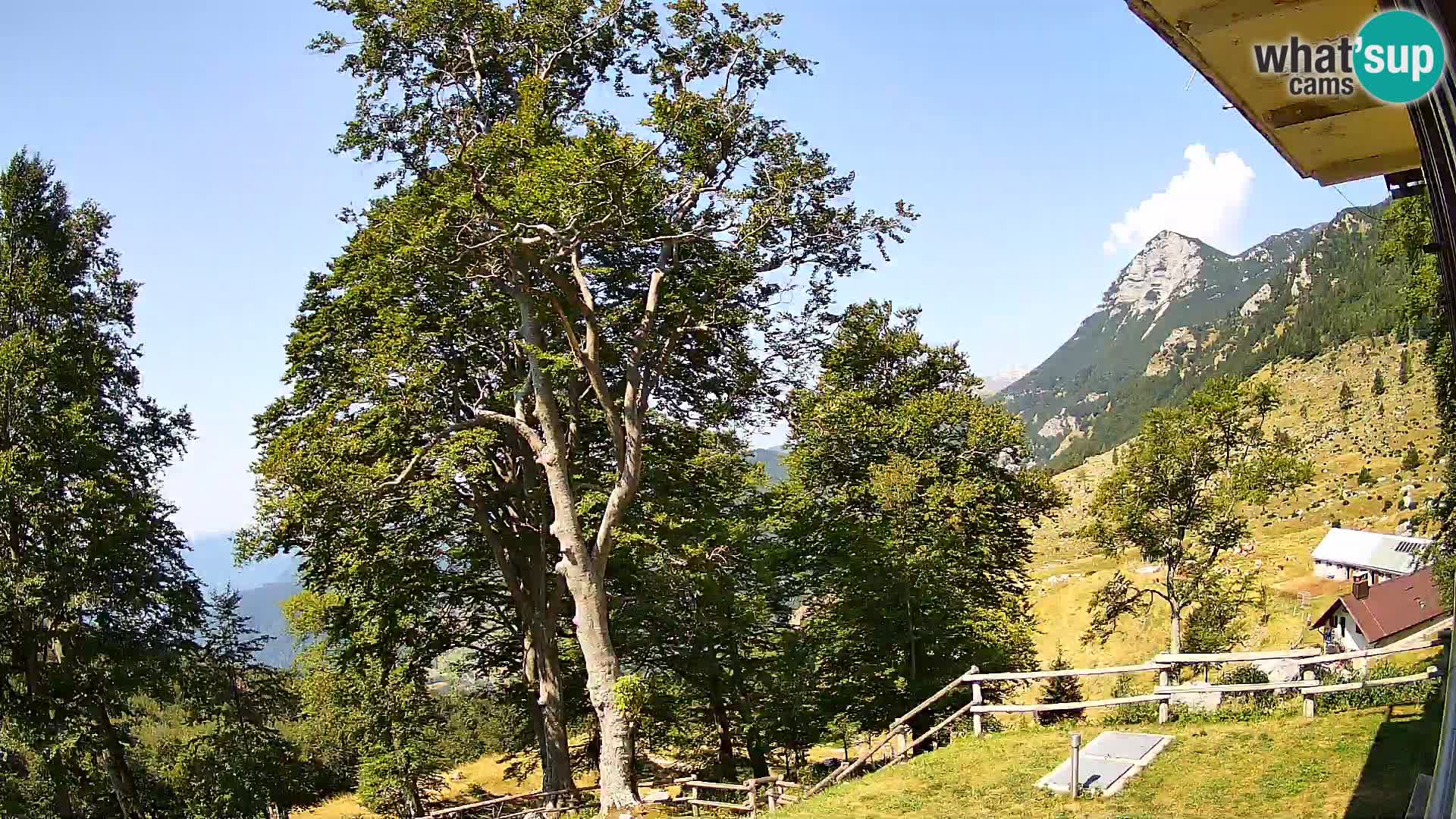 Baita di montagna Planina Razor webcam (1315) | vista su Tolminski Migovec