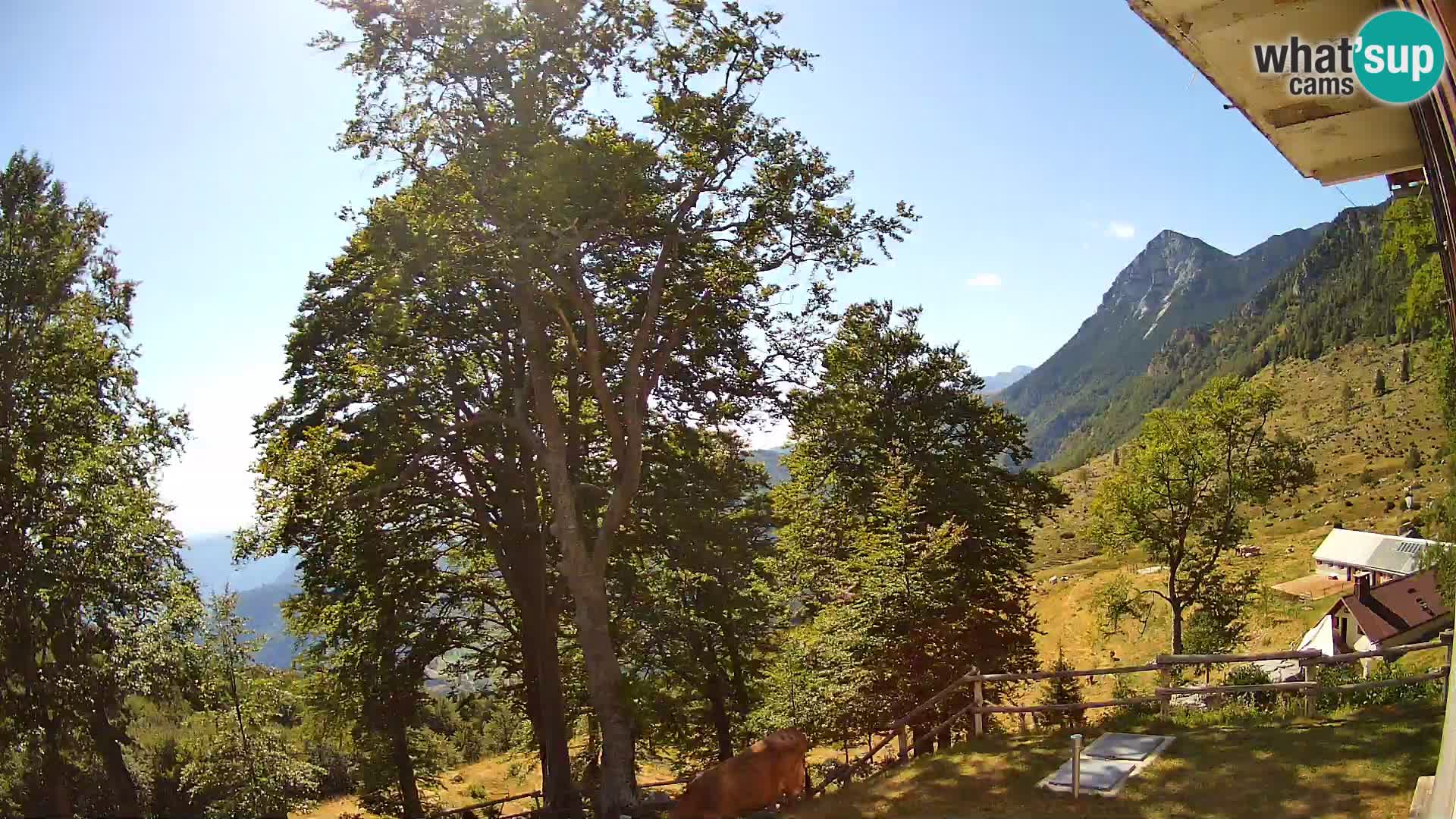 Baita di montagna Planina Razor webcam (1315) | vista su Tolminski Migovec