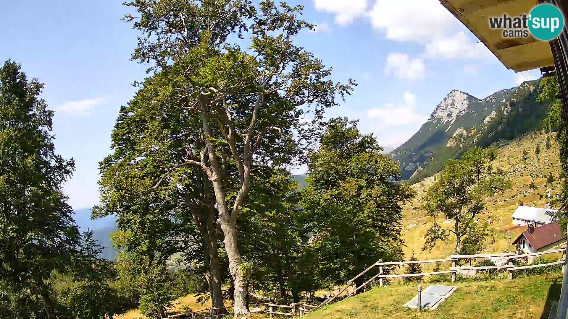 Koča na Planini Razor spletna kamera (1315) | Pogled na Tolminski Migovec