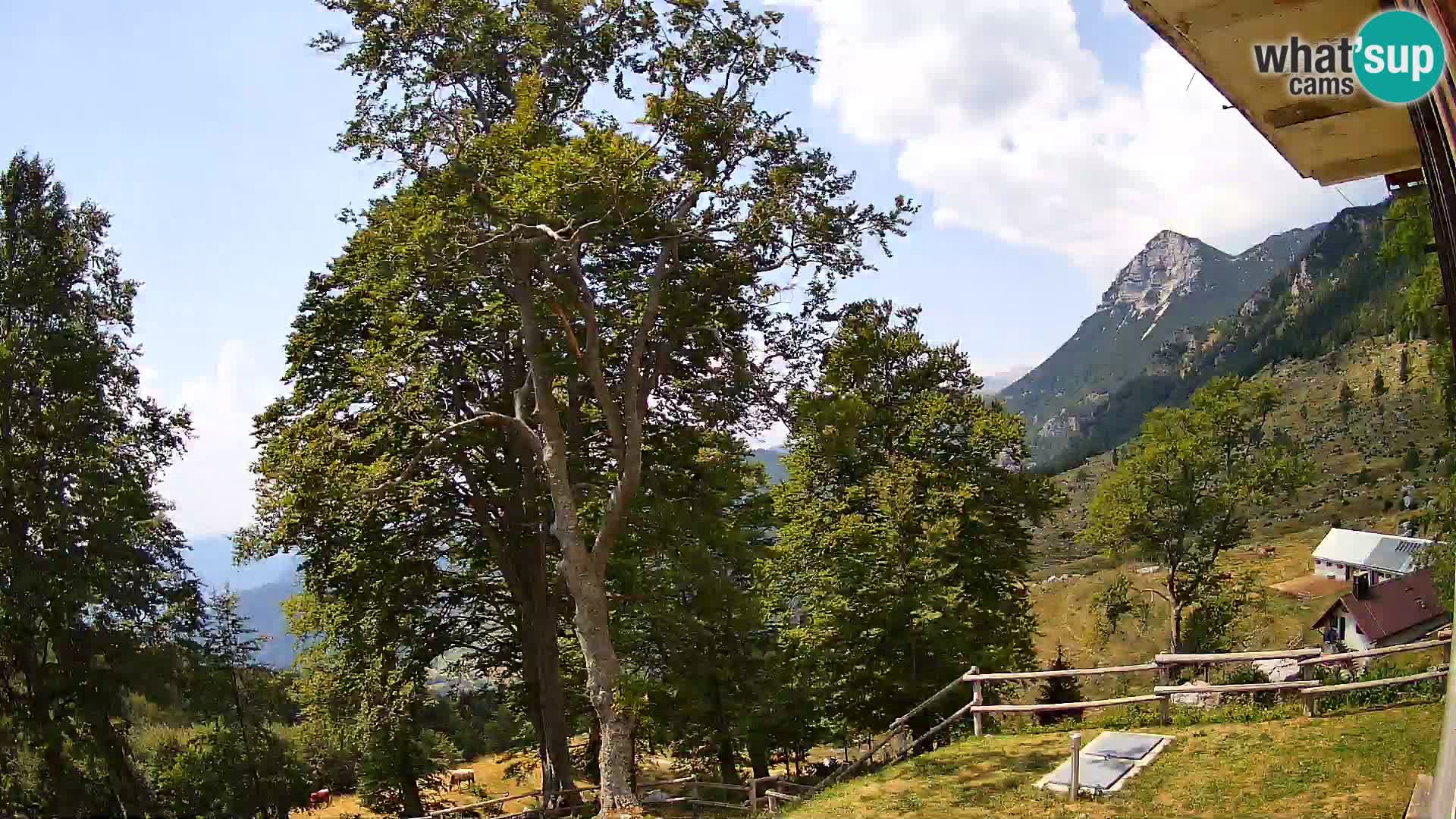 Refuge de la montagne Planina Razor caméra en direct (1315) | vue sur Tolminski Migovec