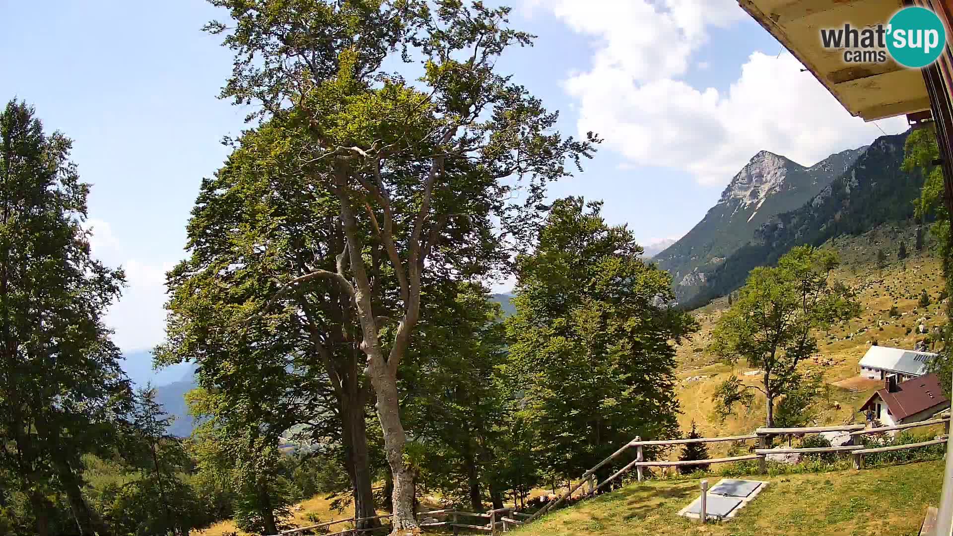 Baita di montagna Planina Razor webcam (1315) | vista su Tolminski Migovec
