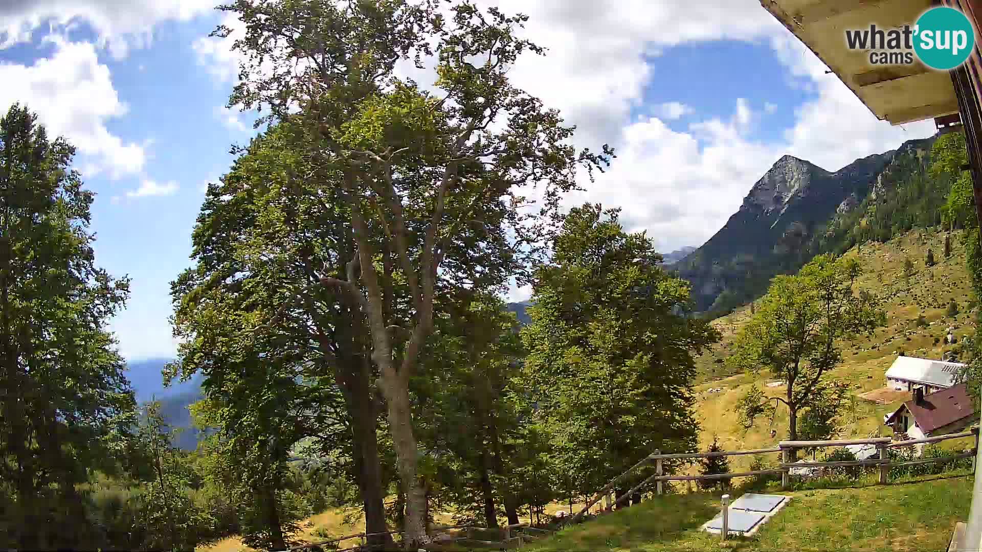 Planina Razor Bergütte Webcam (1315) | Blick auf Tolminski Migovec