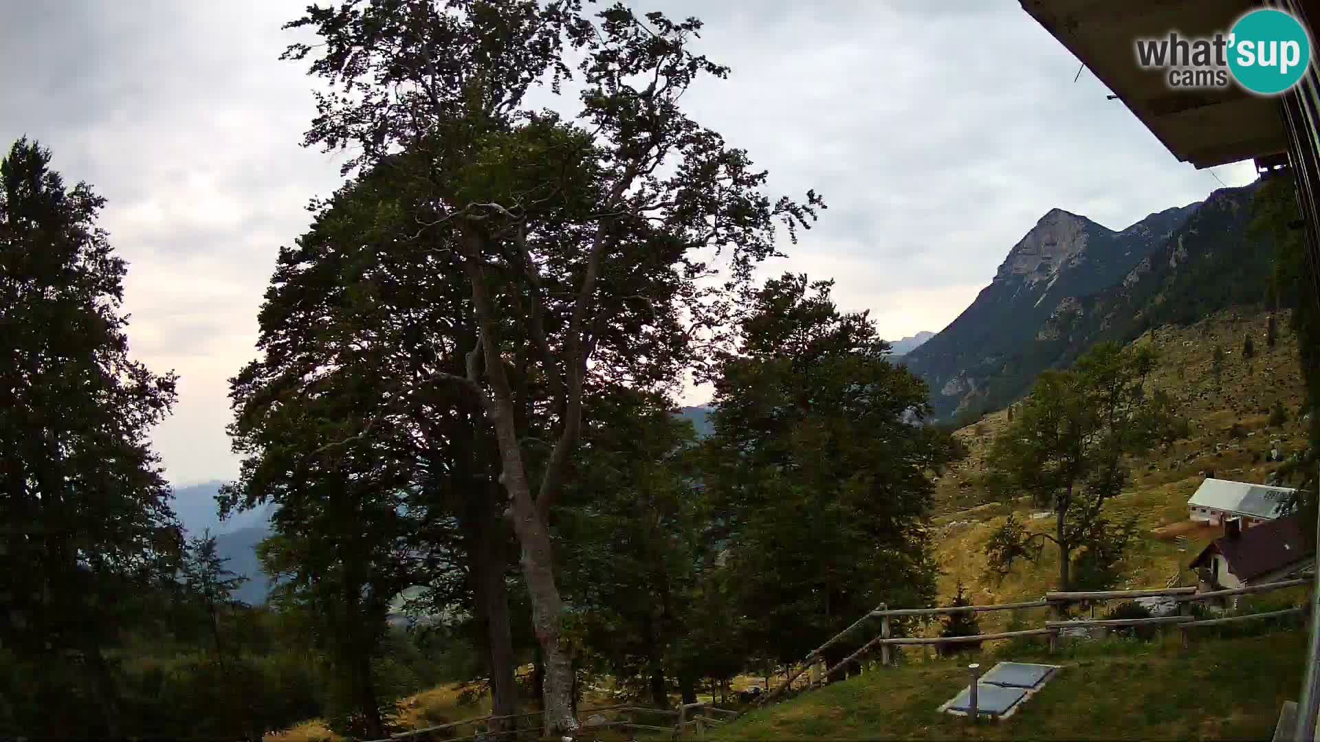 Planina Razor Mountain Hut live cam (1315) | view to Tolminski Migovec