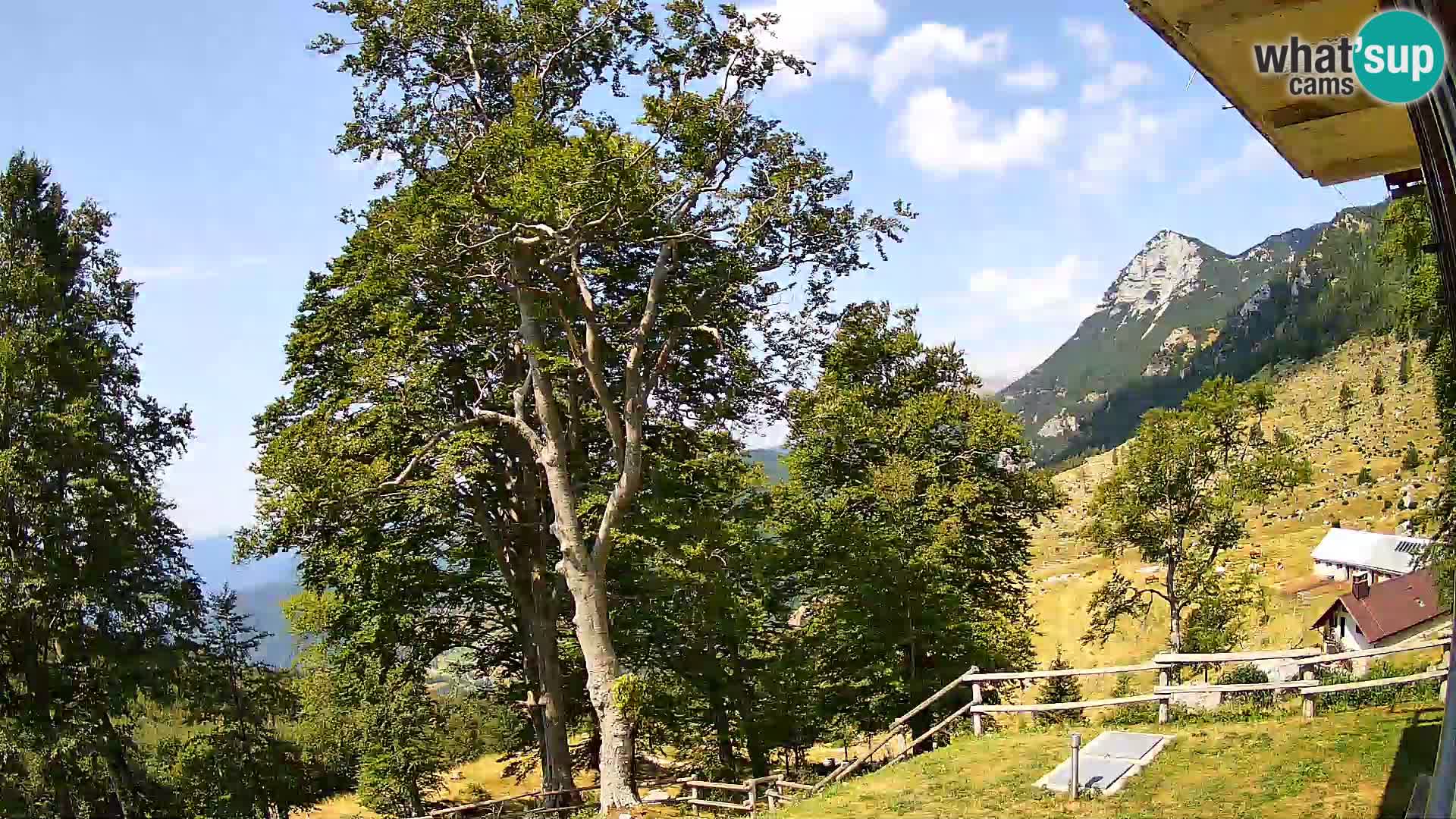 Baita di montagna Planina Razor webcam (1315) | vista su Tolminski Migovec