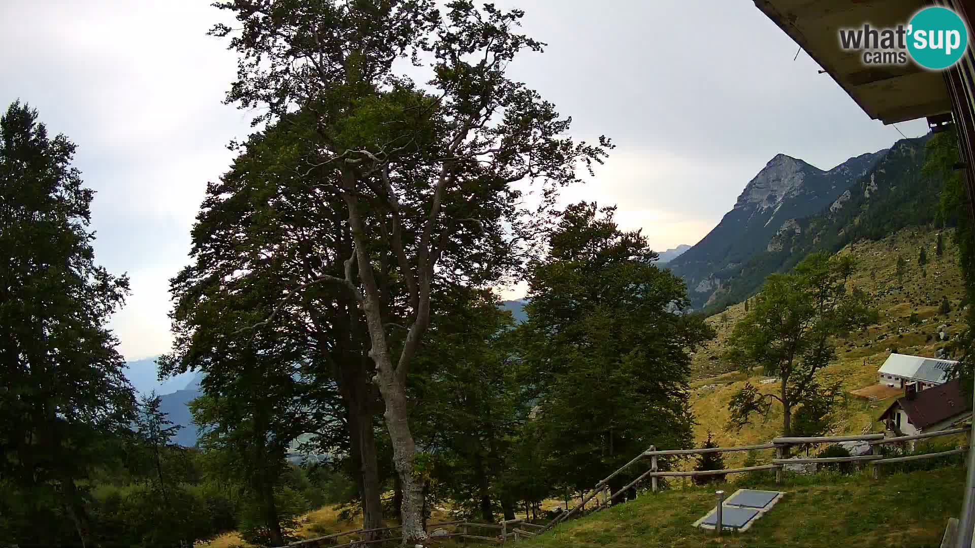 Planina Razor Bergütte Webcam (1315) | Blick auf Tolminski Migovec