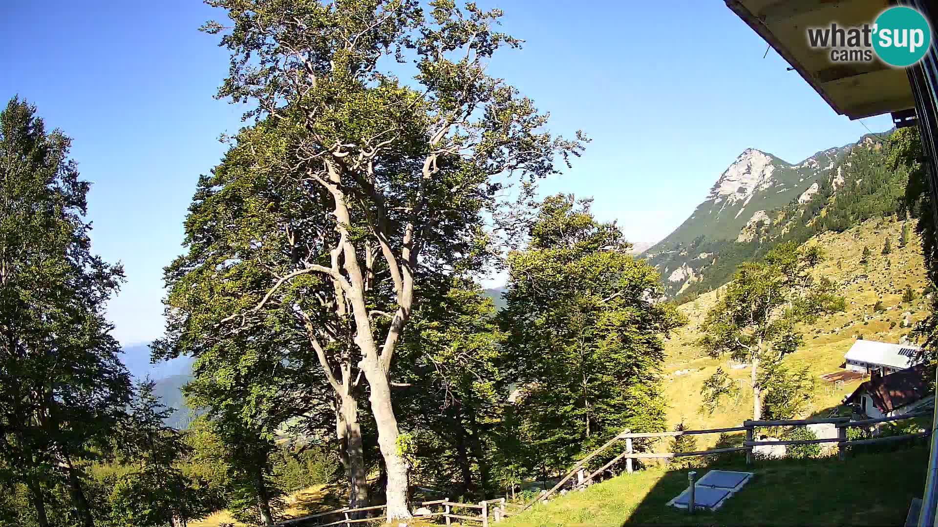 Planina Razor Bergütte Webcam (1315) | Blick auf Tolminski Migovec