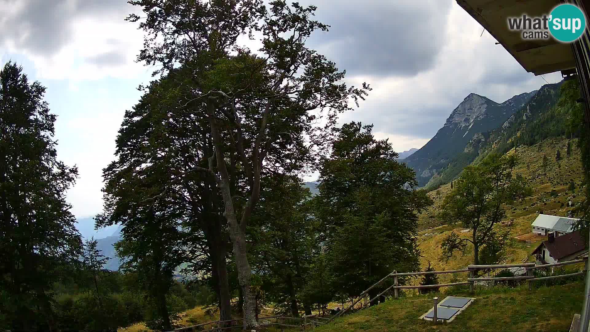 Baita di montagna Planina Razor webcam (1315) | vista su Tolminski Migovec