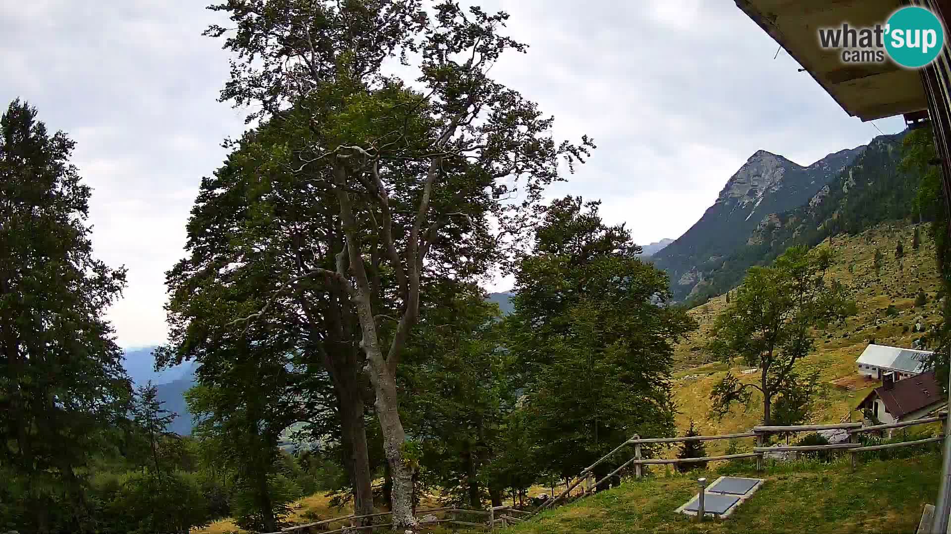 Planina Razor Mountain Hut live cam (1315) | view to Tolminski Migovec